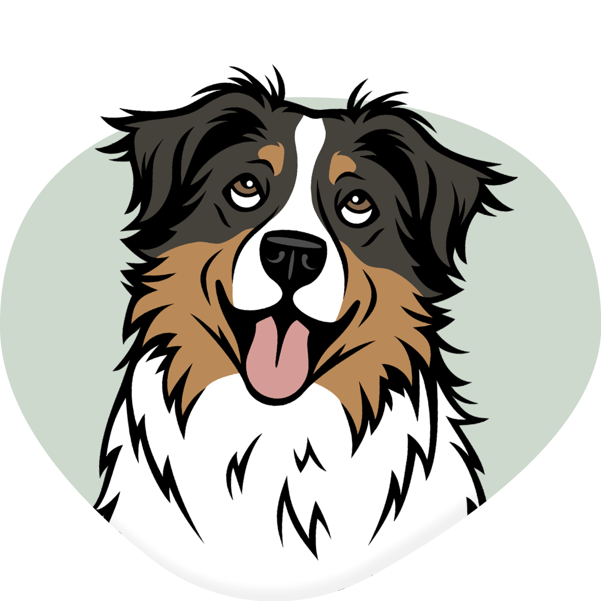 Australian Shepherd