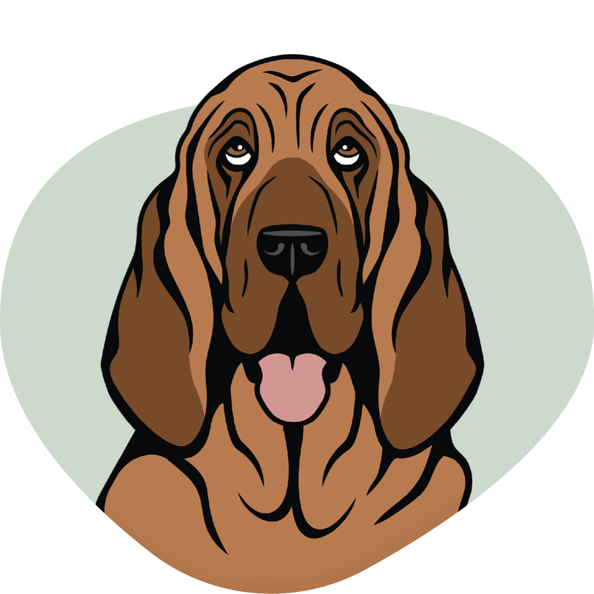 Bloodhound