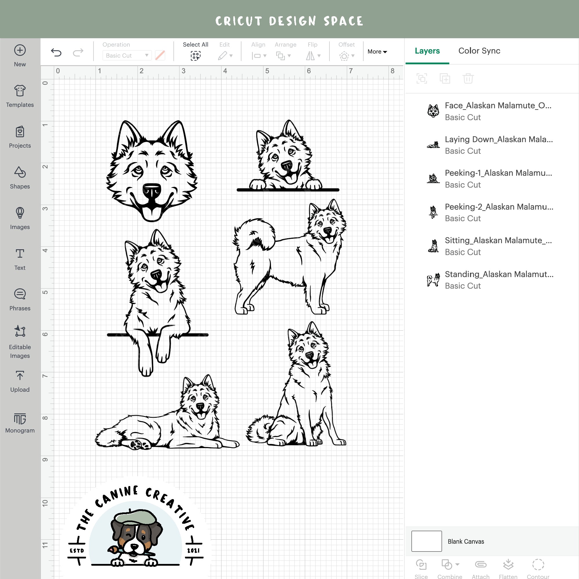 Screenshot showing outline variations if designs inside Cricut Design Space.