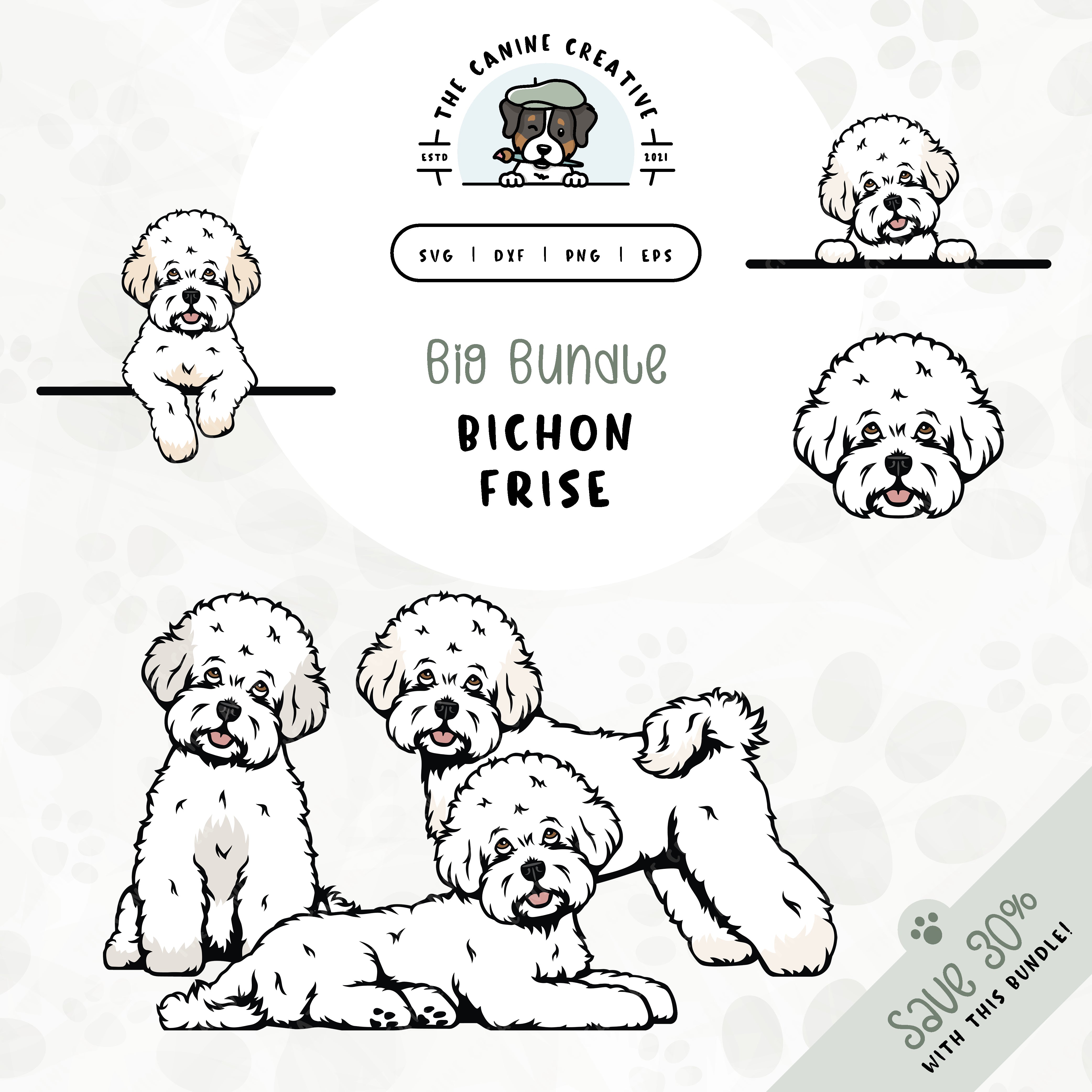This 6-pack Bichon Frise design bundle includes dog faces and five different poses: sitting, standing, laying down, and peeking (2 options). File formats include: SVG, DXF, PNG, and EPS.