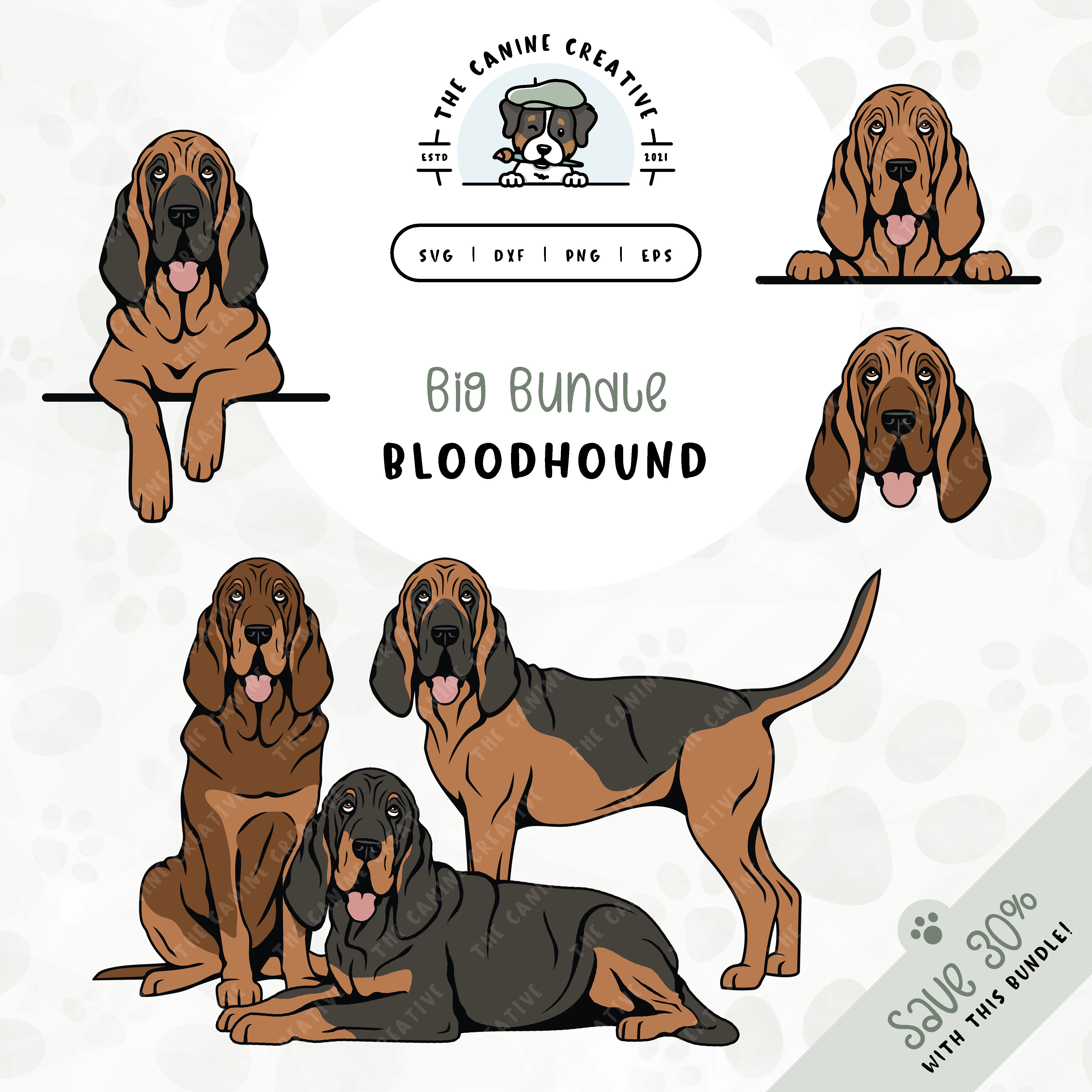 This 6-pack Bloodhound design bundle includes dog faces and five different poses: sitting, standing, laying down, and peeking (2 options). File formats include: SVG, DXF, PNG, and EPS.