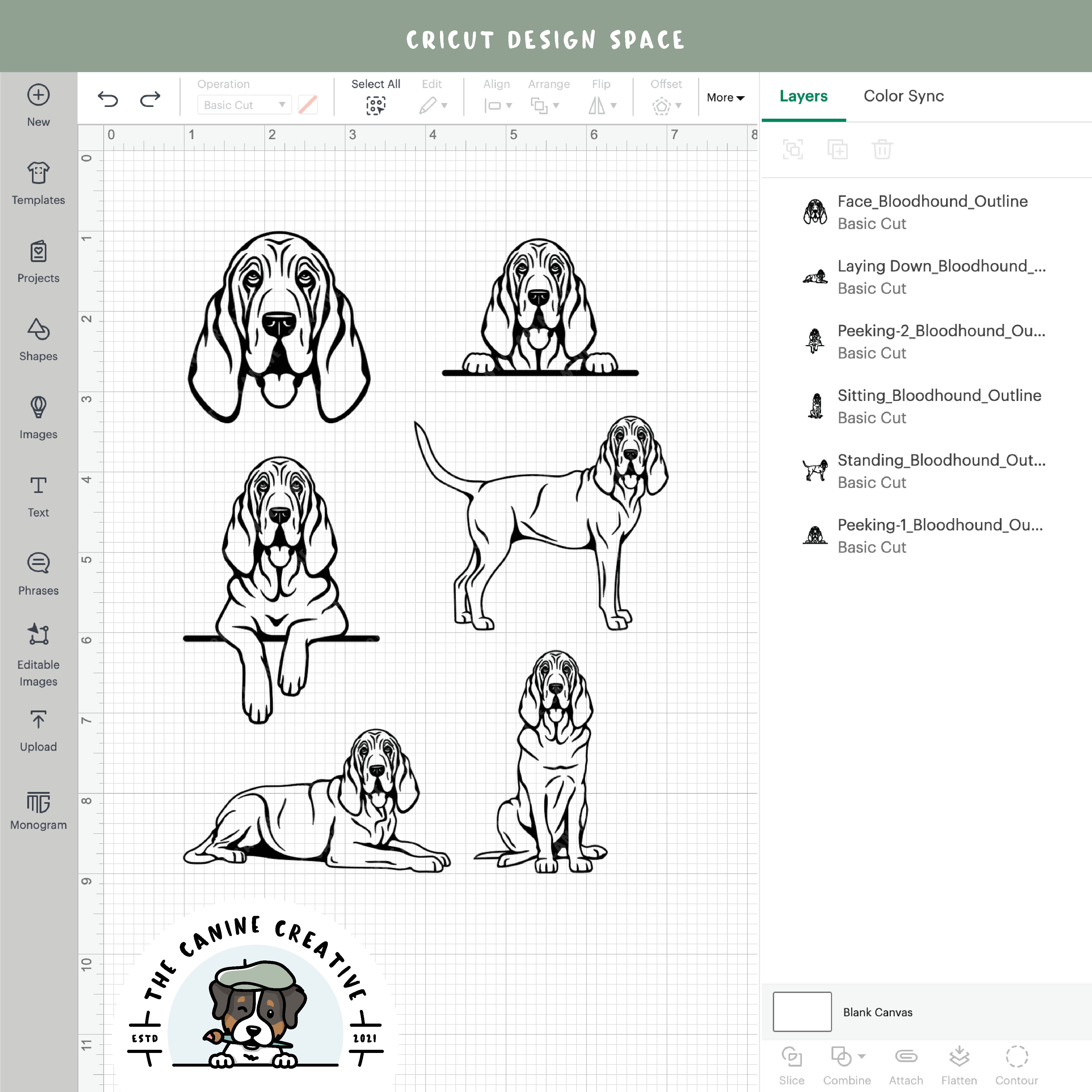 Screenshot showing outline variations of designs inside Cricut Design Space.