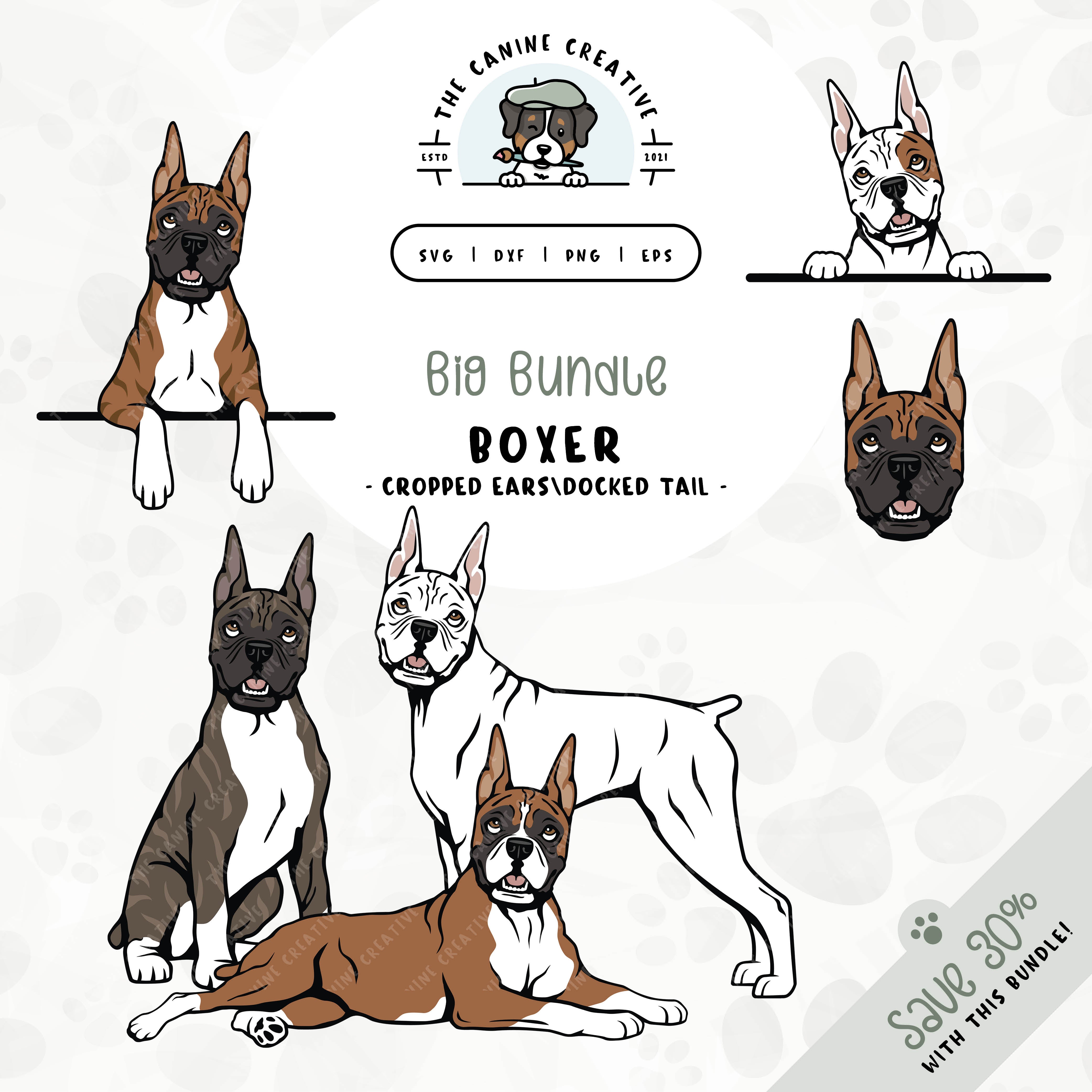 This 6-pack Boxer dog design bundle (cropped ears/docked tail edition)  includes dog faces and five different poses: sitting, standing, laying down, and peeking (2 options). File formats include: SVG, DXF, PNG, and EPS.