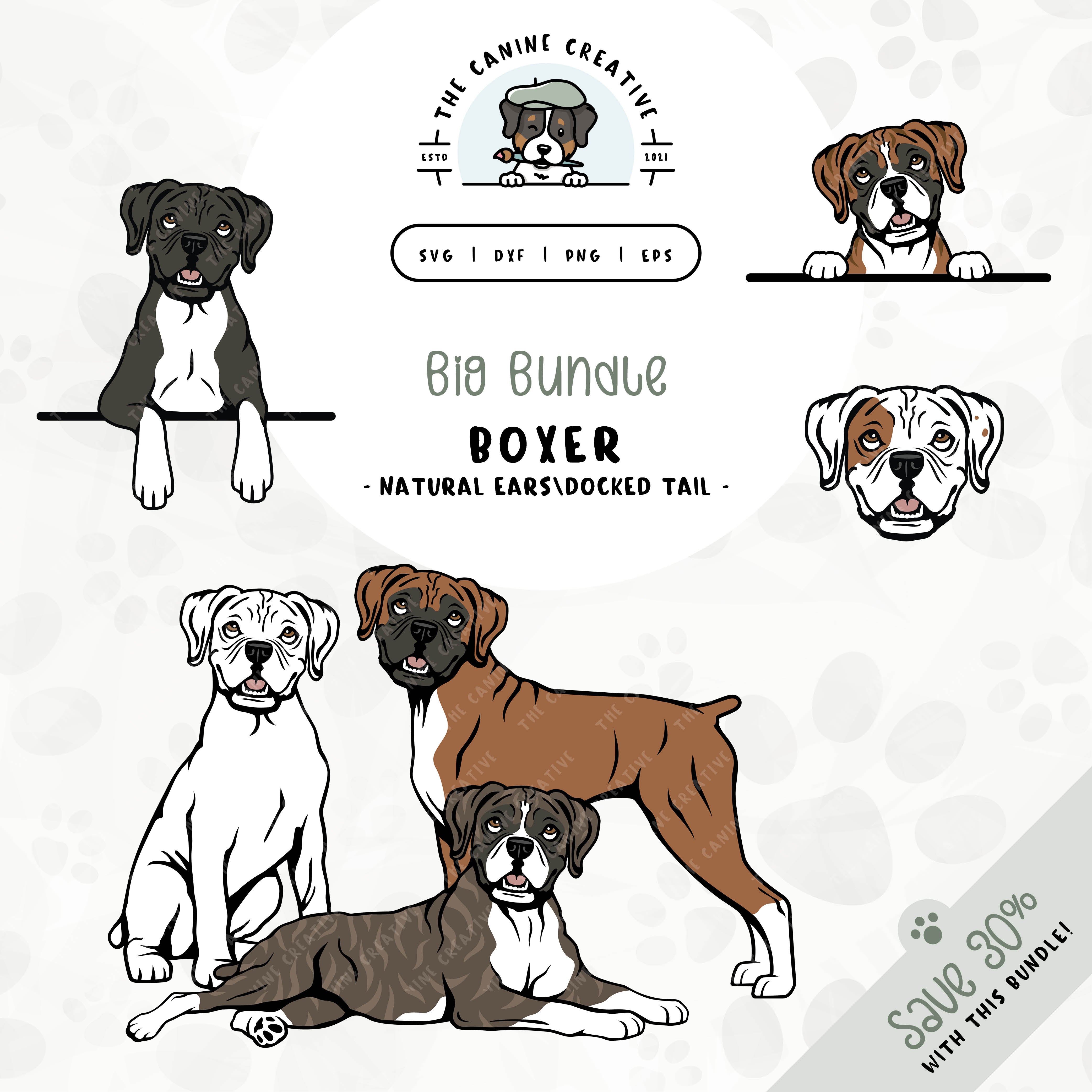 This 6-pack Boxer dog (floppy ear/docked tail edition) design bundle includes dog faces and five different poses: sitting, standing, laying down, and peeking (2 options). File formats include: SVG, DXF, PNG, and EPS.