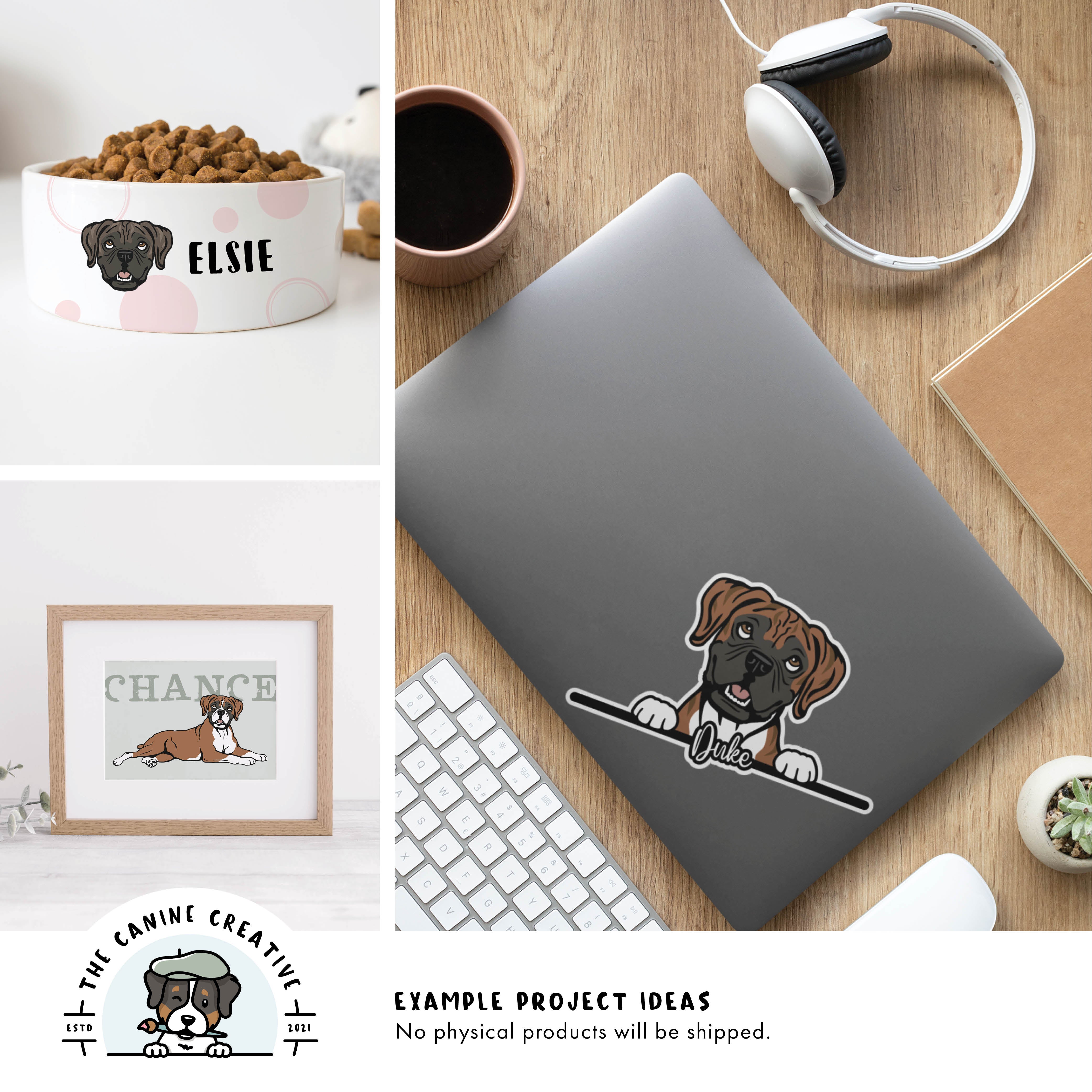 Example project ideas showing designs on a dog food bowl, as framed art, and a sticker on a laptop.