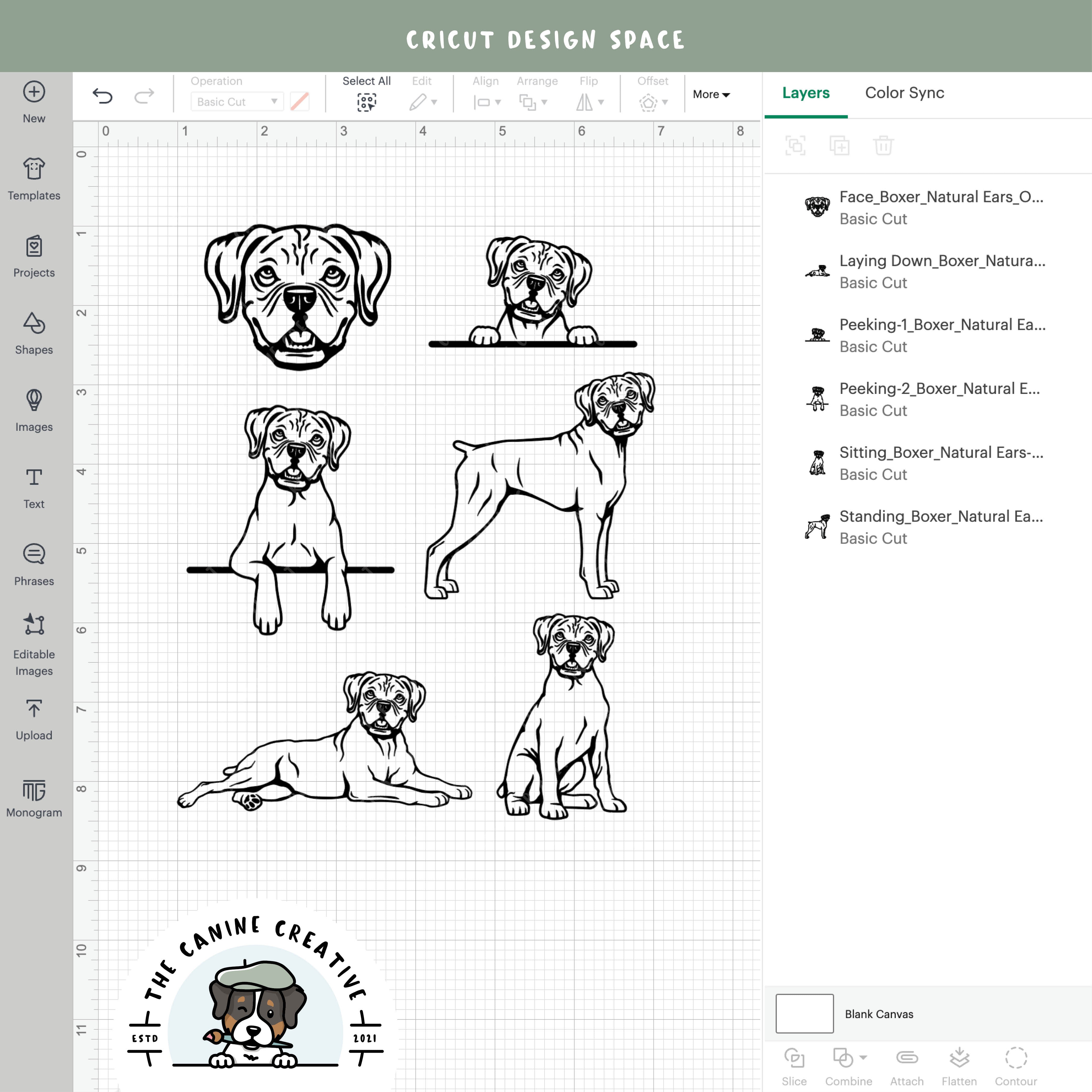 Screenshot showing outline variations of designs inside Cricut Design Space.