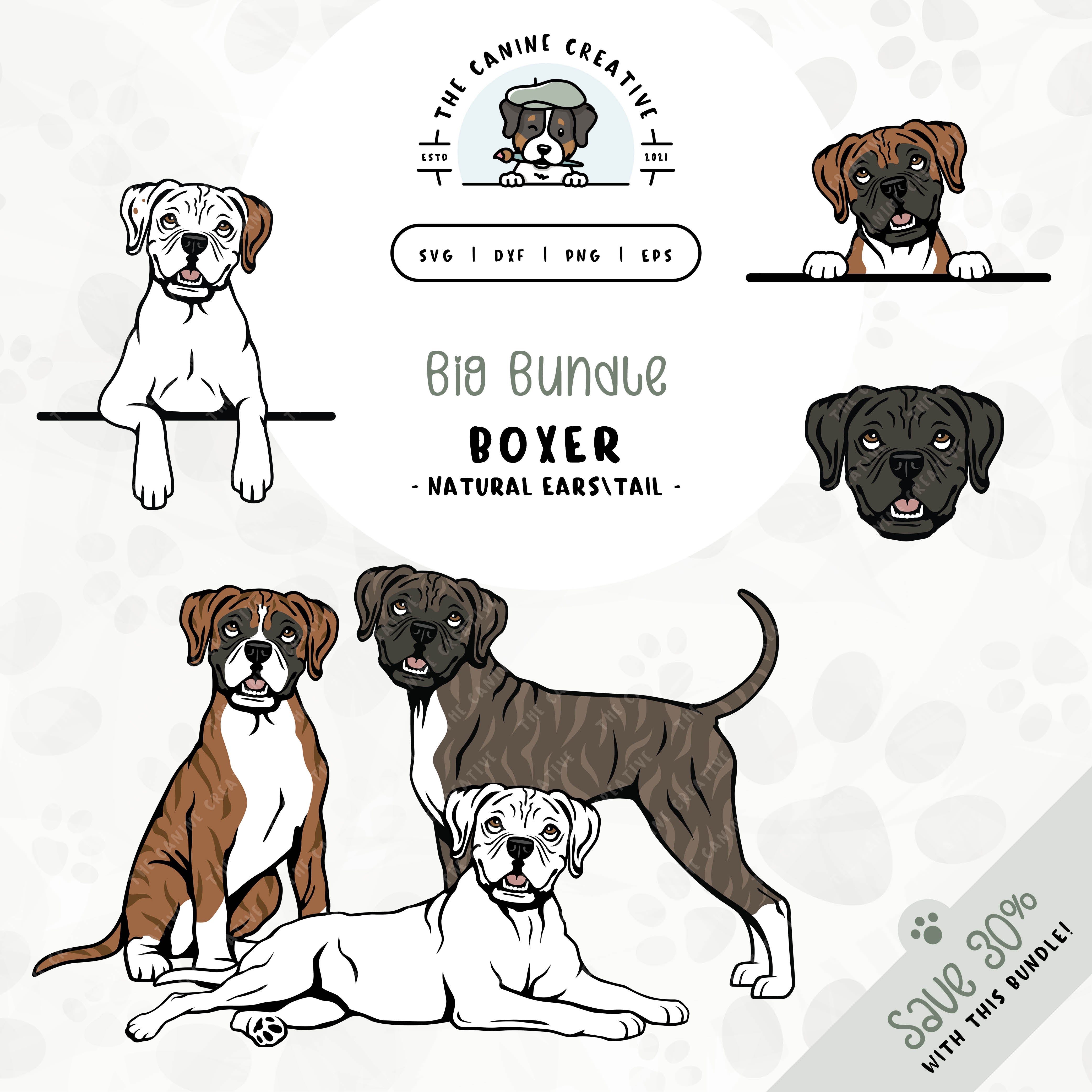 This 6-pack Boxer dog (floppy ears/long tail edition) design bundle includes dog faces and five different poses: sitting, standing, laying down, and peeking (2 options). File formats include: SVG, DXF, PNG, and EPS.