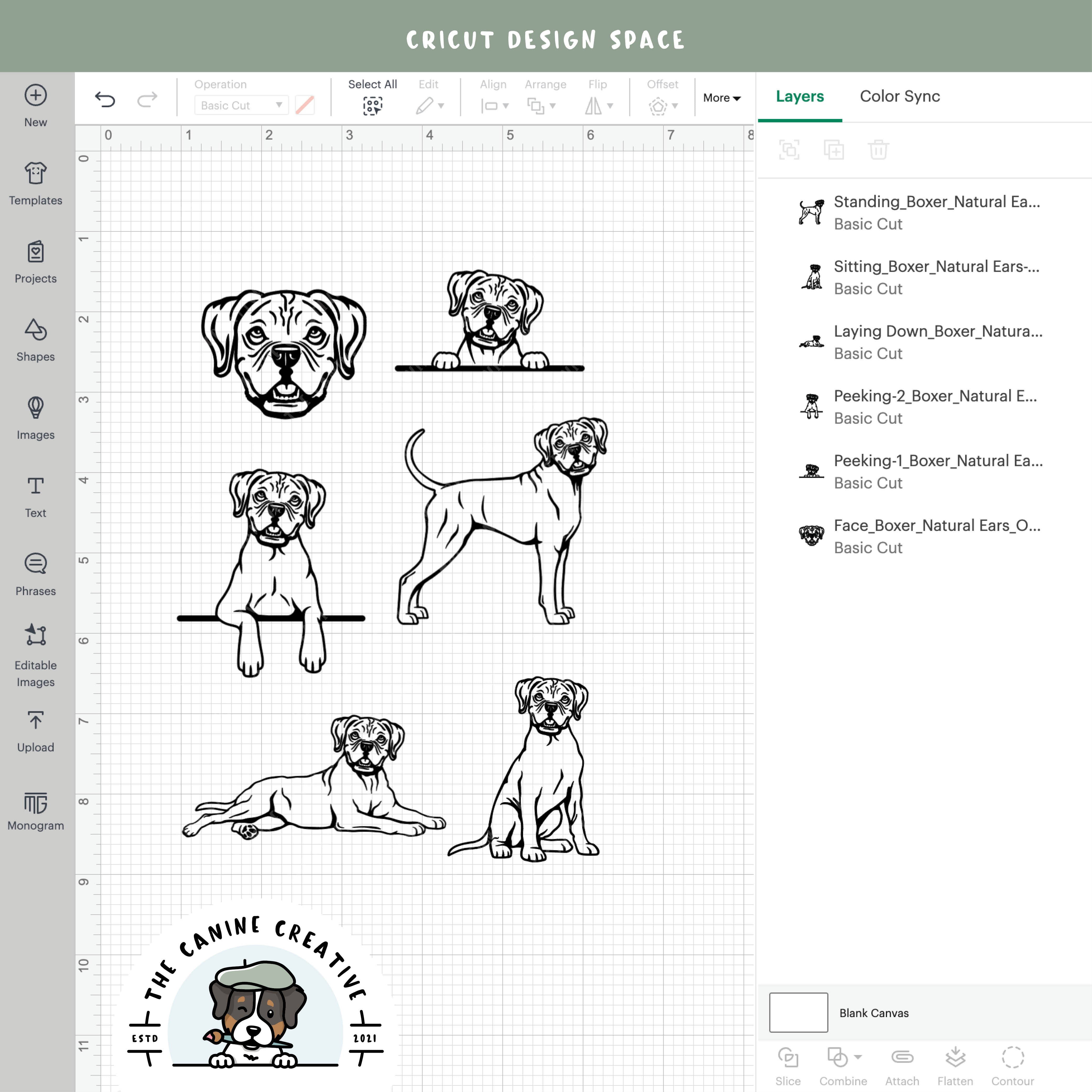 Screenshot showing outline variations of designs inside Cricut Design Space.