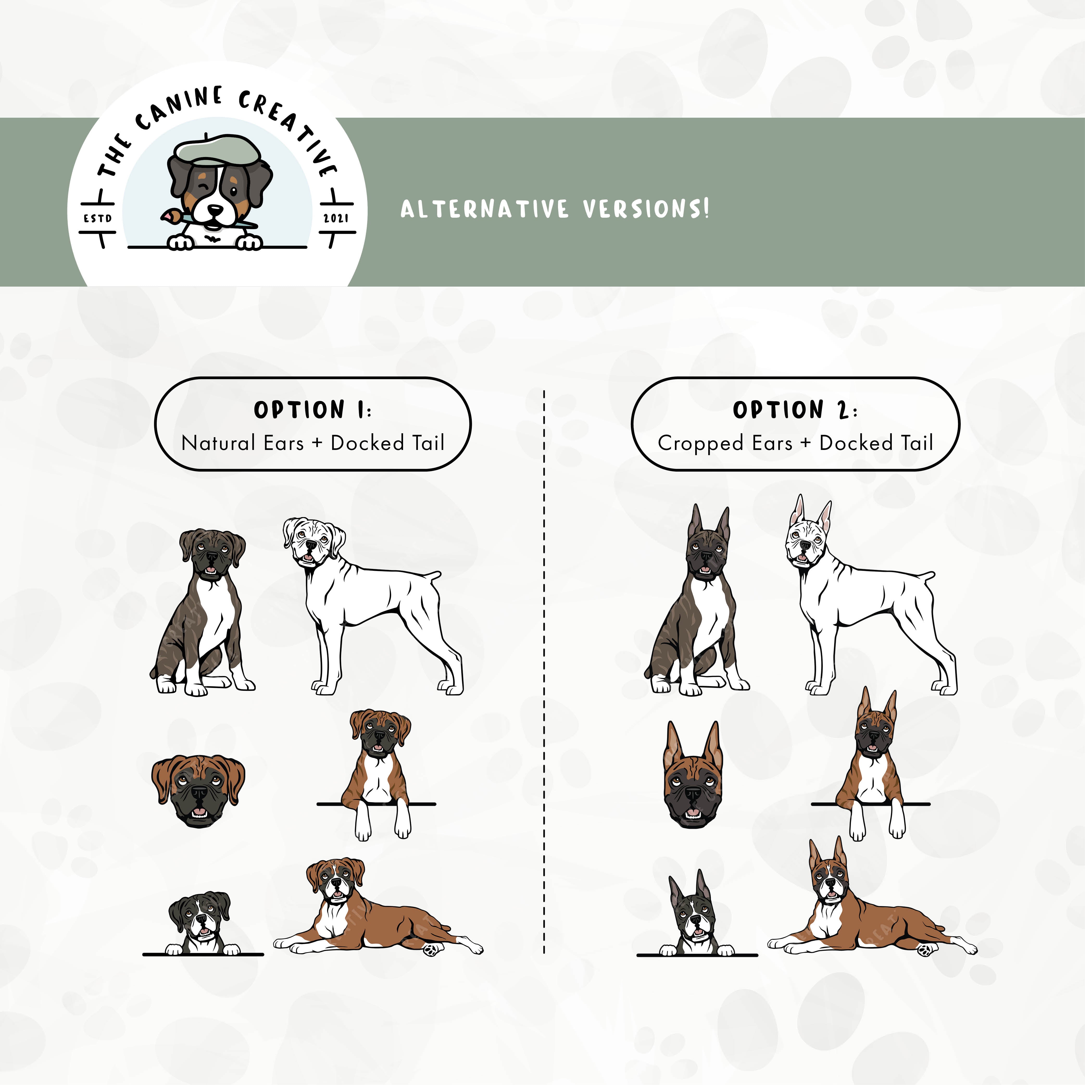 Alternative floppy ear/docked tail or cropped ear/docked tail editions are also available for this Boxer dog design bundle.