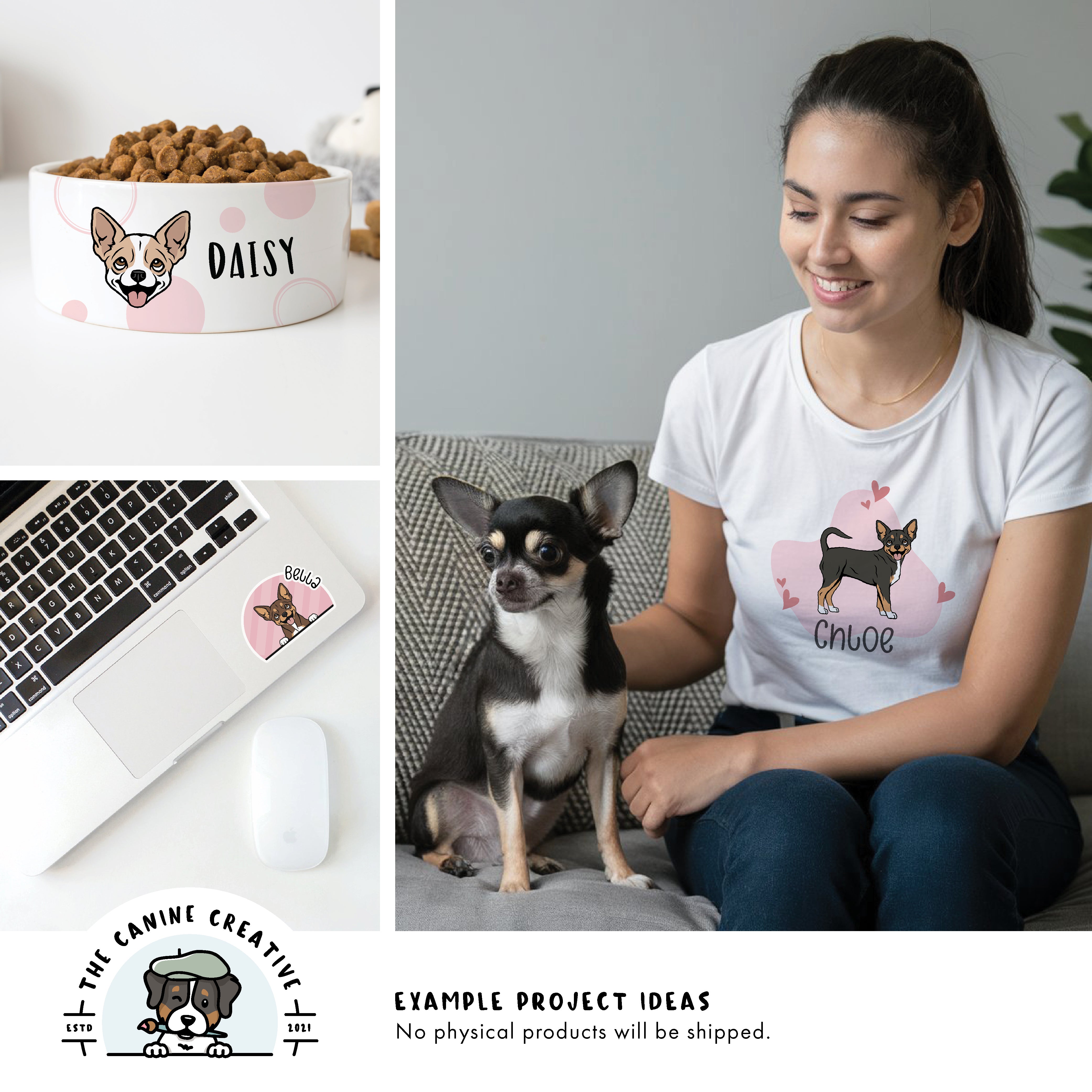 Example project ideas showing designs on a dog food bowl, a t-shirt, and a sticker on a laptop.