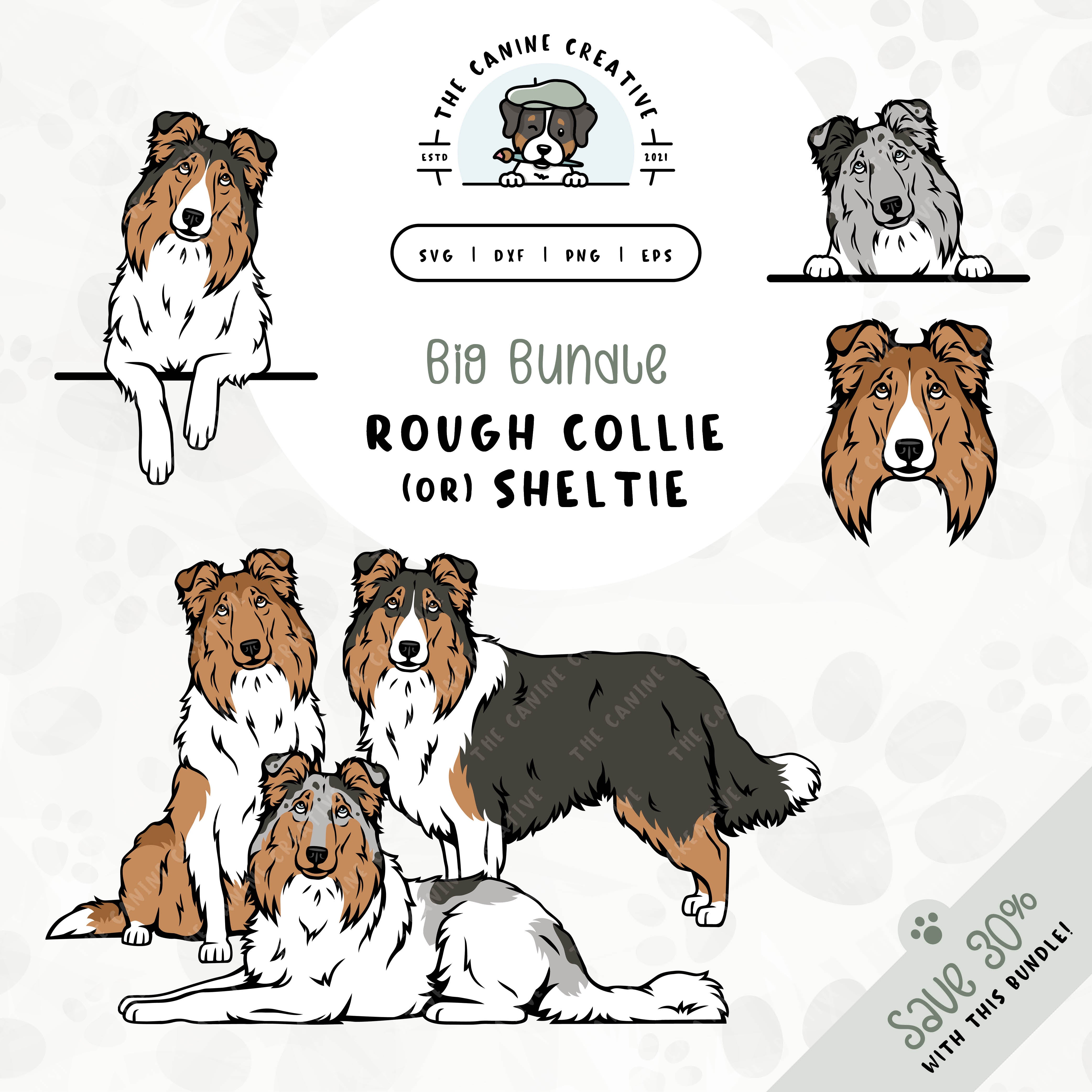 This bundle features a variety of illustrated Rough Collie/Shetland Sheepdog designs. This collection includes dog face, peeking (two options), standing, sitting, and laying down designs. File formats include: SVG, DXF, PNG, and EPS.