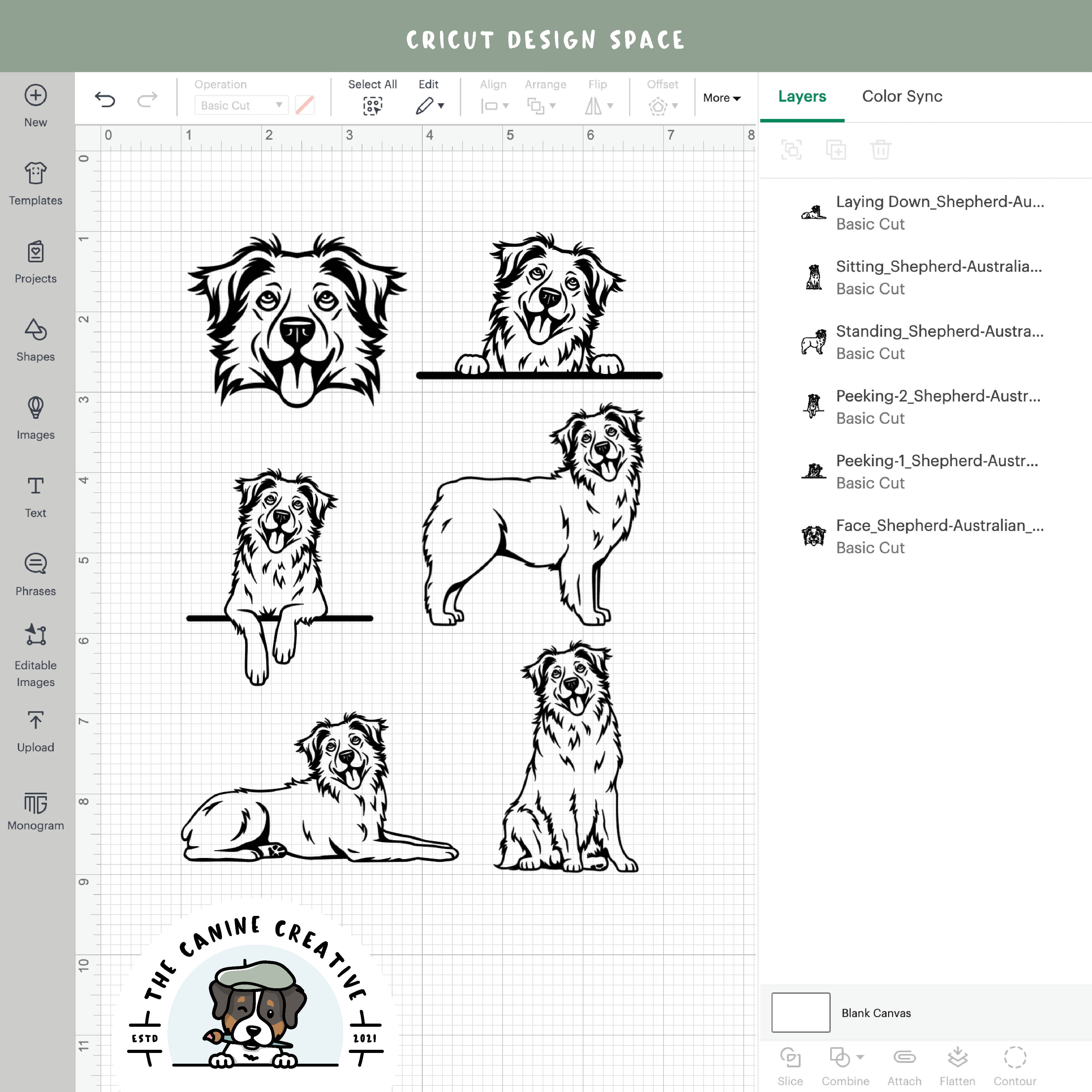 Screenshot showing outline variations if designs inside Cricut Design Space.