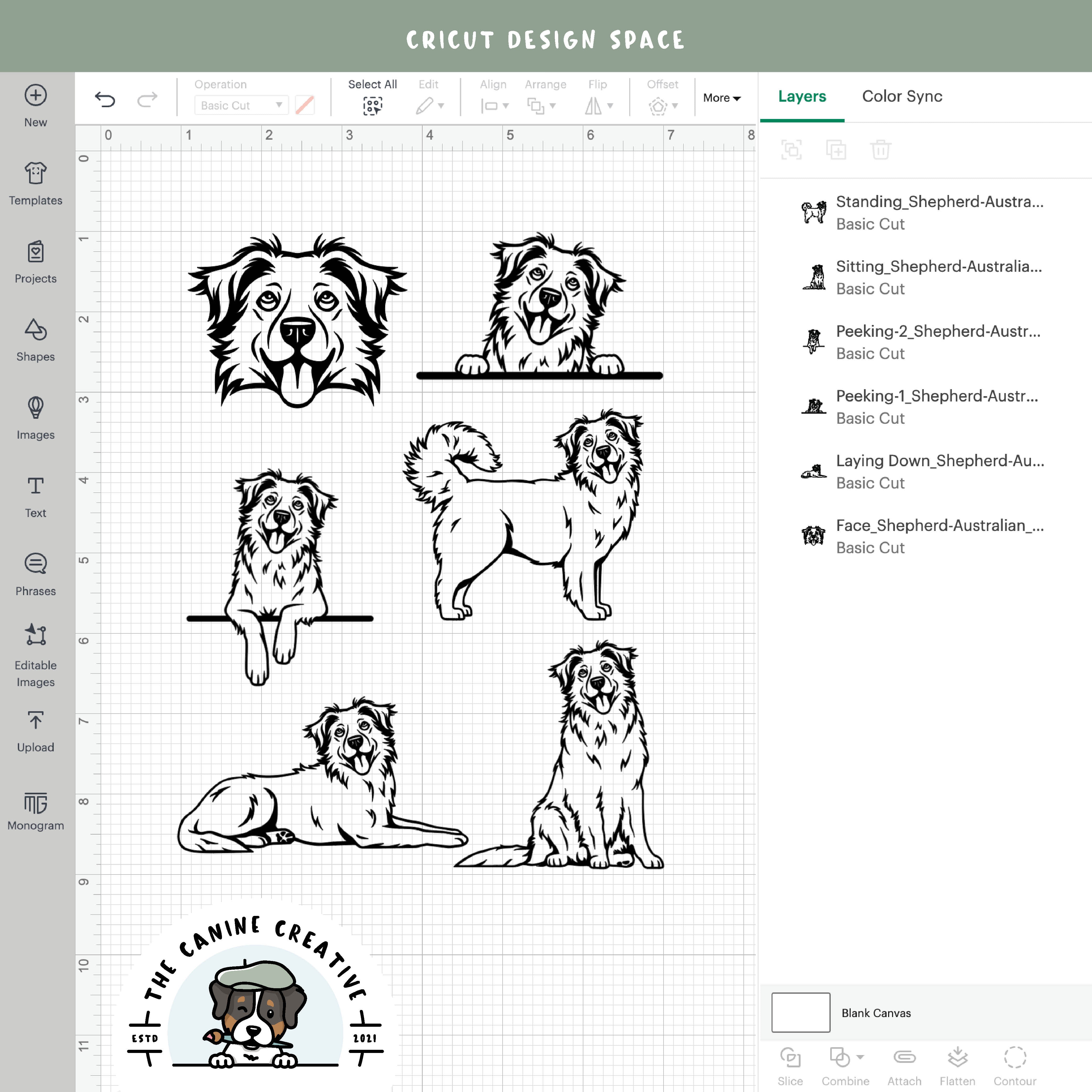 Screenshot showing outline variations if designs inside Cricut Design Space.