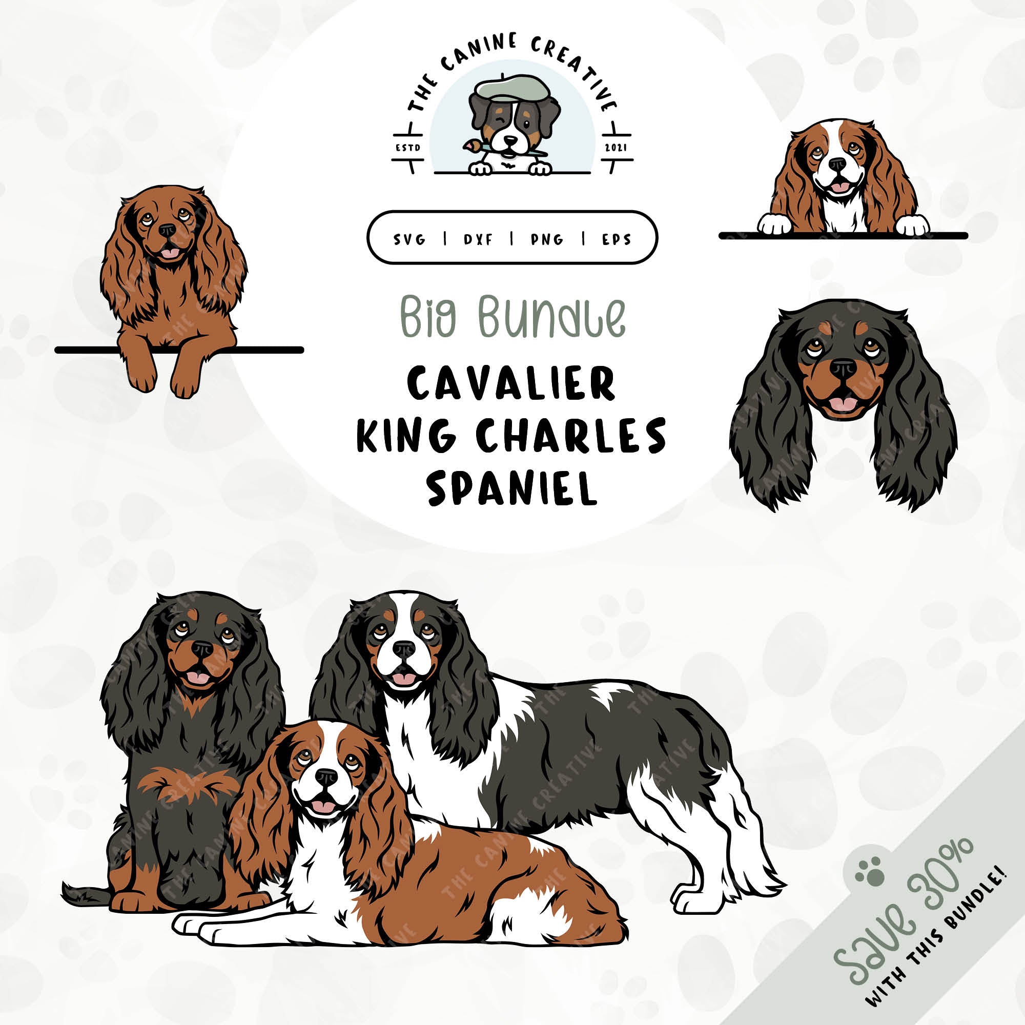 This 6-pack Cavalier King Charles Spaniel design bundle includes Aussie faces and five different poses: sitting, standing, laying down, and peeking (2 options). File formats include: SVG, DXF, PNG, and EPS.