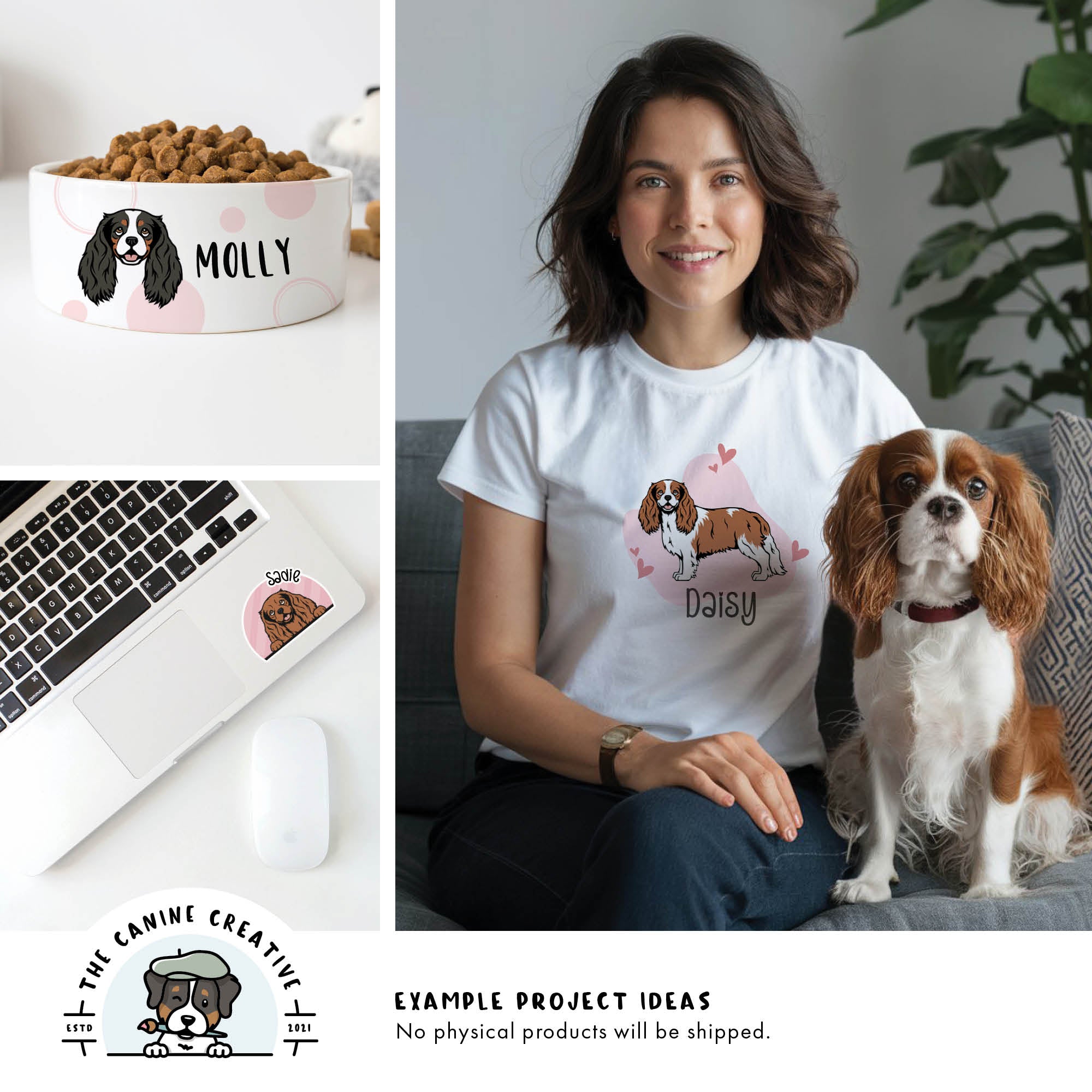 Example project ideas showing designs on a dog food bowl, a t-shirt, and a sticker on a laptop.