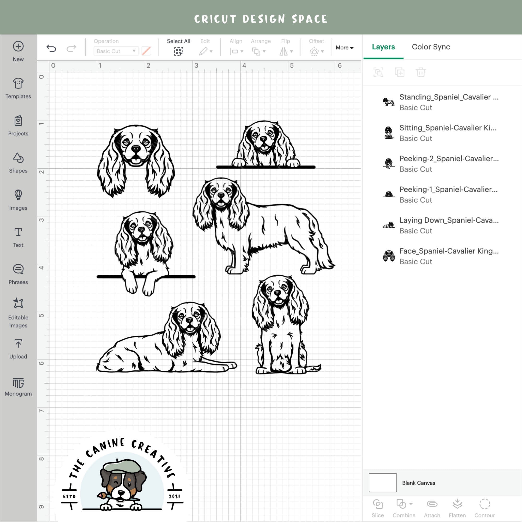 Screenshot showing outline variations of designs inside Cricut Design Space.