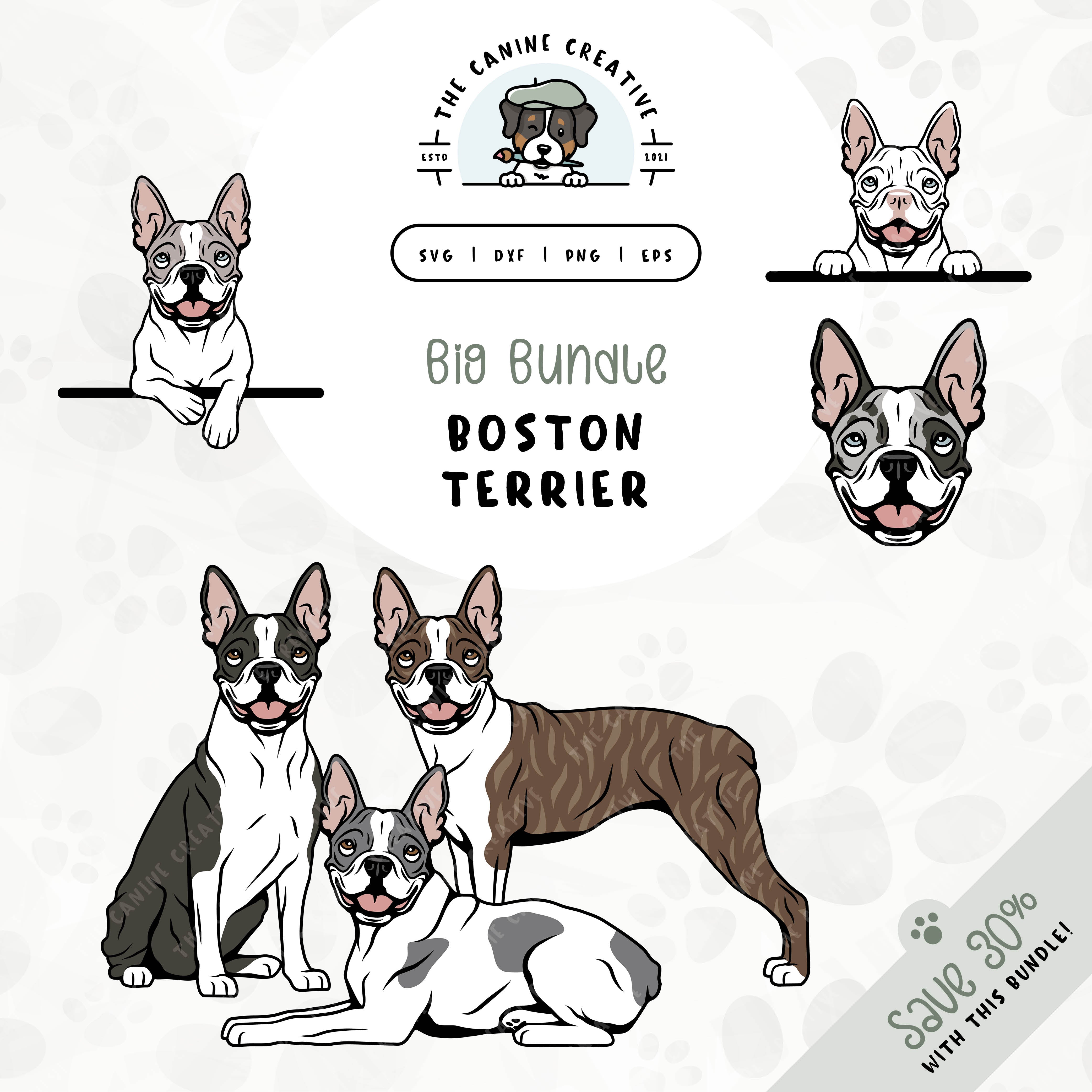 This 6-pack Boston Terrier design bundle includes dog faces and five different poses: sitting, standing, laying down, and peeking (2 options). File formats include: SVG, DXF, PNG, and EPS.