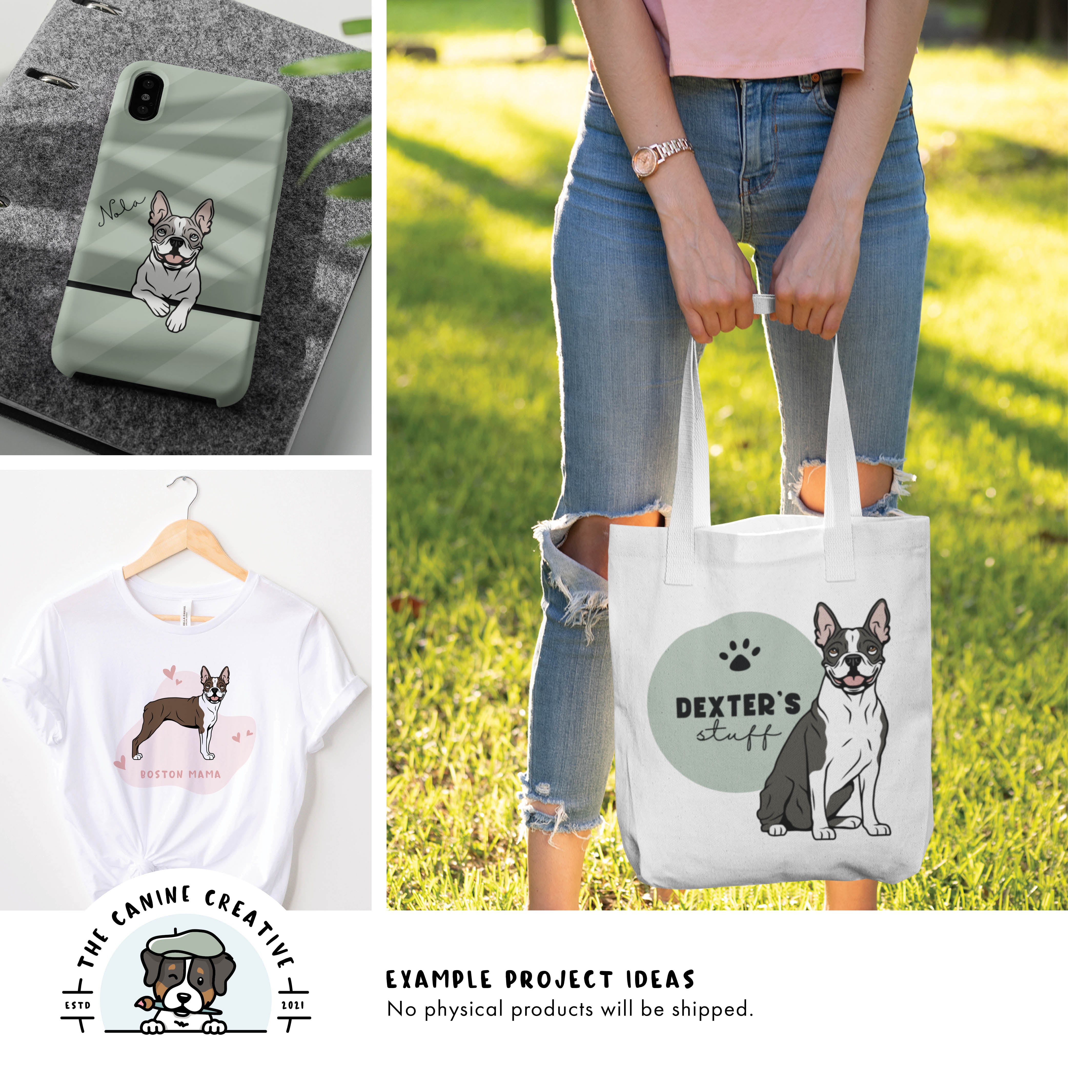 Example project ideas showing designs on a cellphone case, t-shirt, and tote bag.