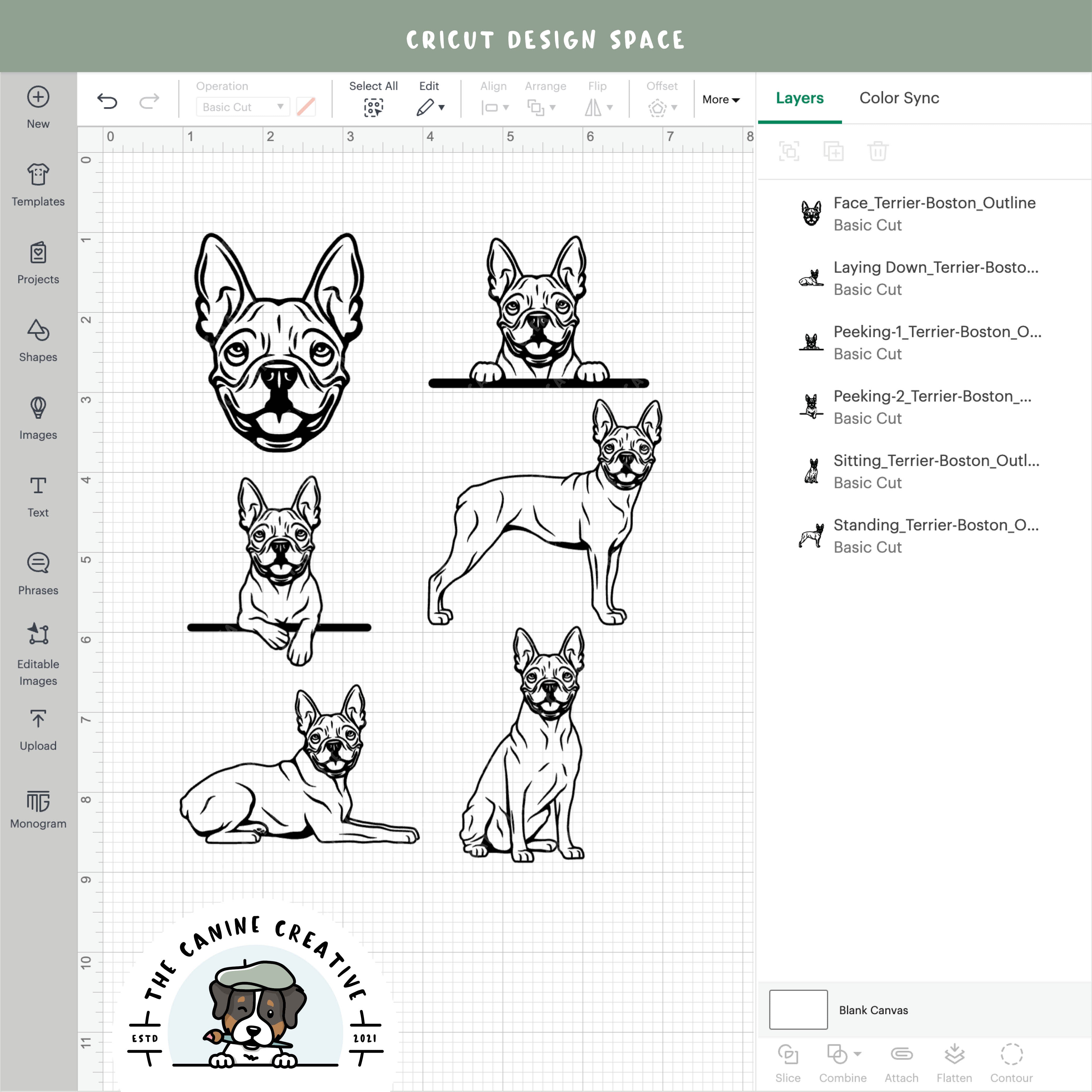 Screenshot showing outline variations of designs inside Cricut Design Space.