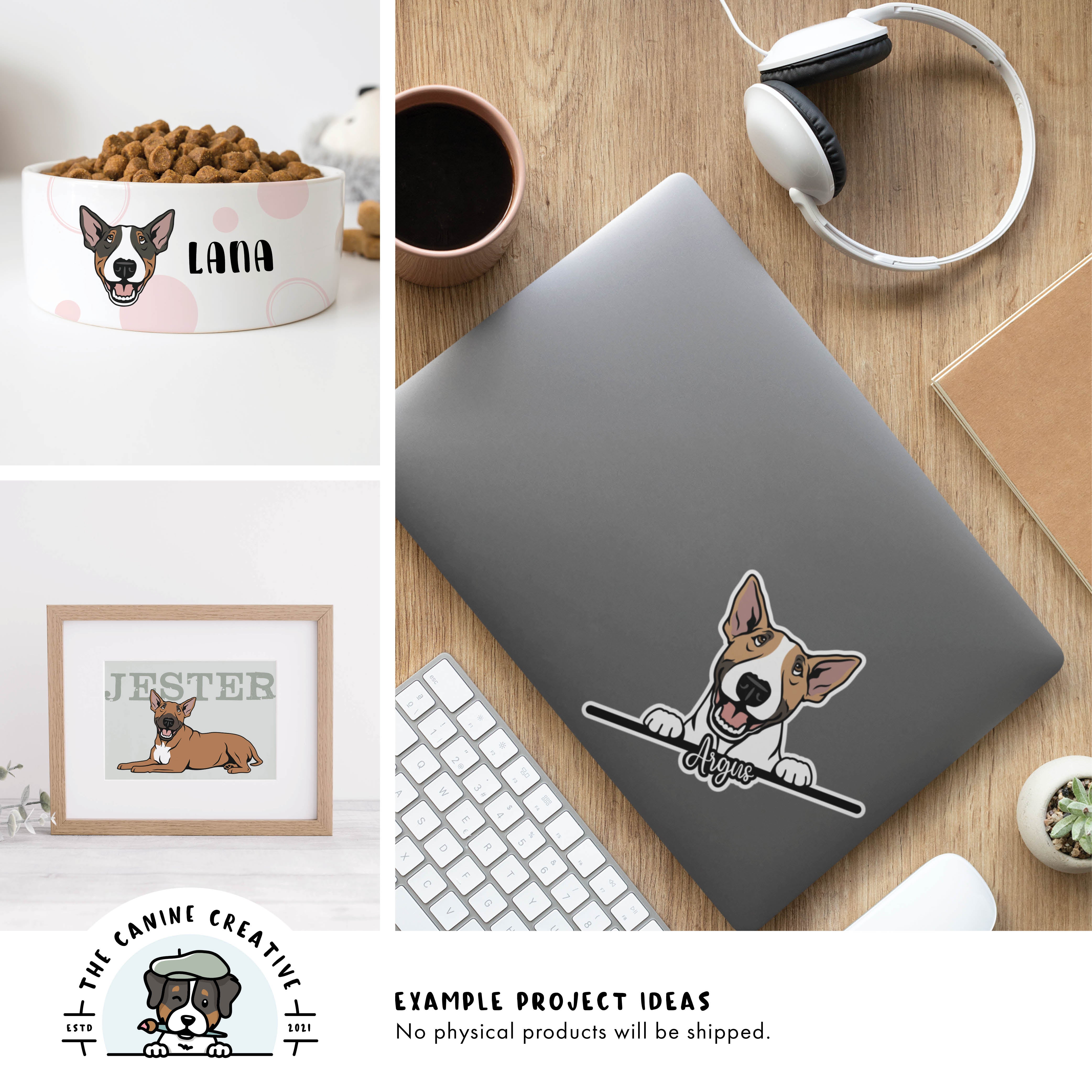 Example project ideas showing designs on a dog food bowl, as framed art, and a sticker on a laptop.