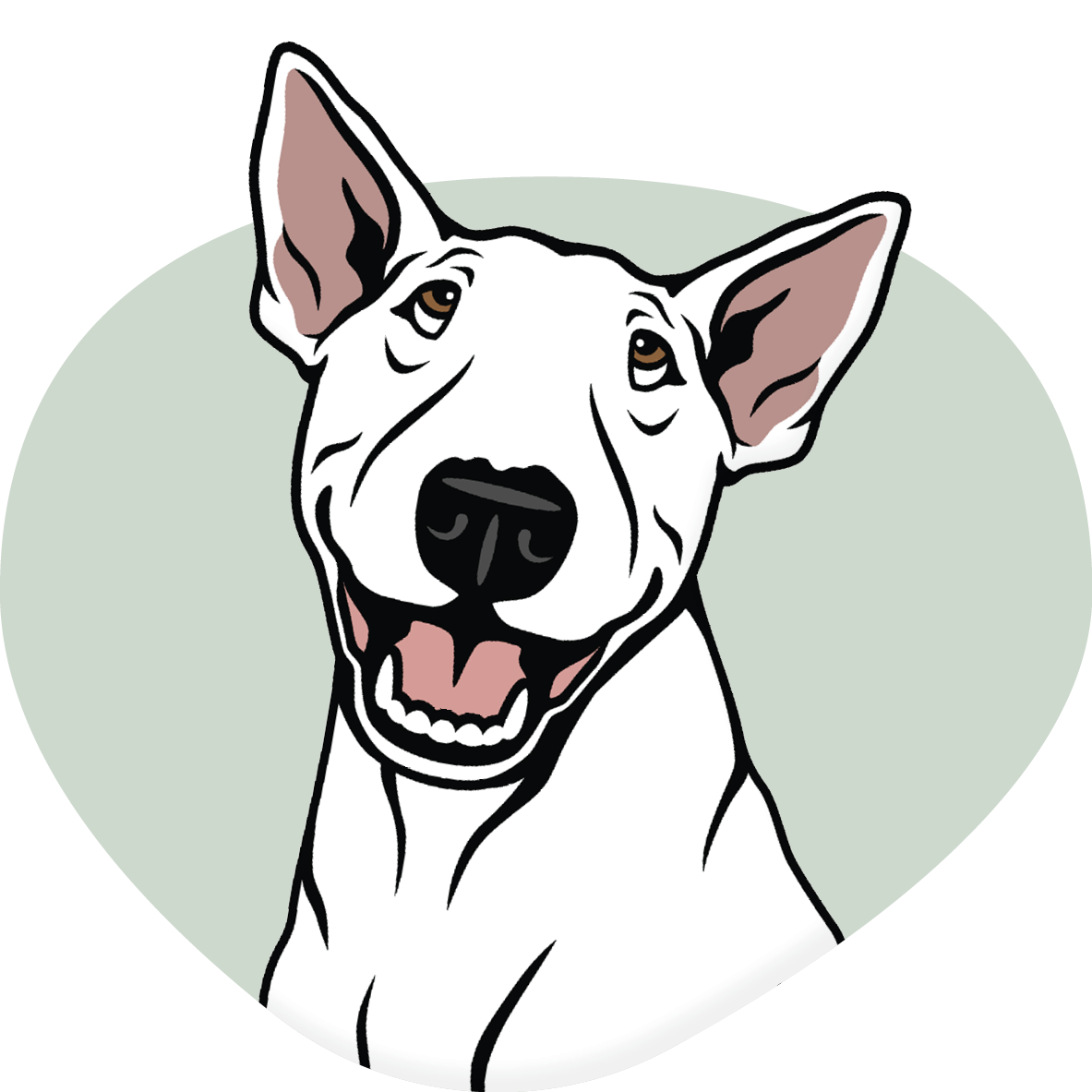 Bull Terrier