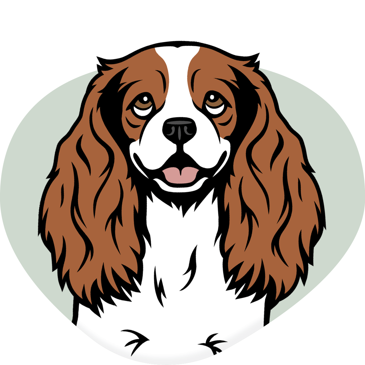 Cavalier King Charles Spaniel
