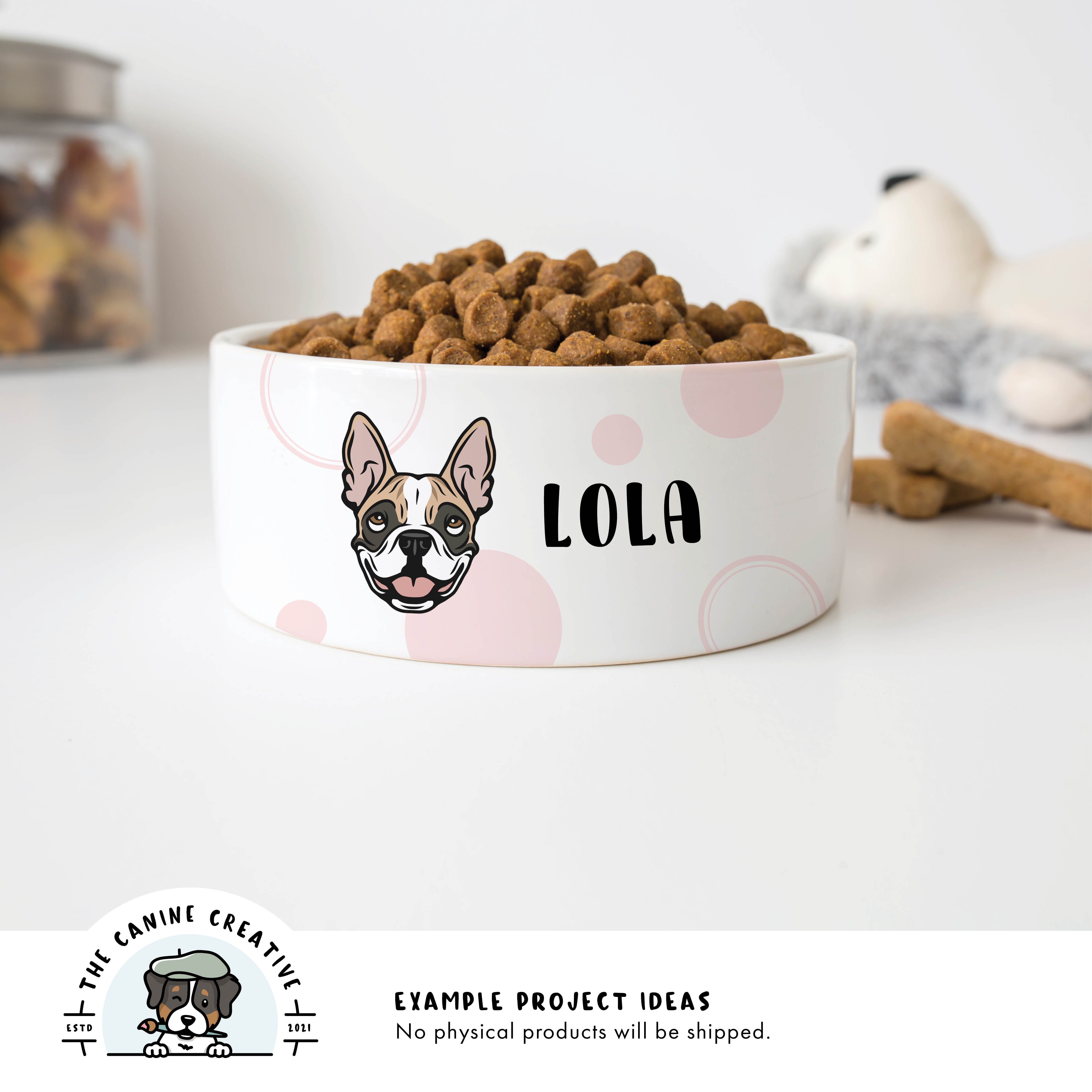 Example project idea showing design on a dog bowl.
