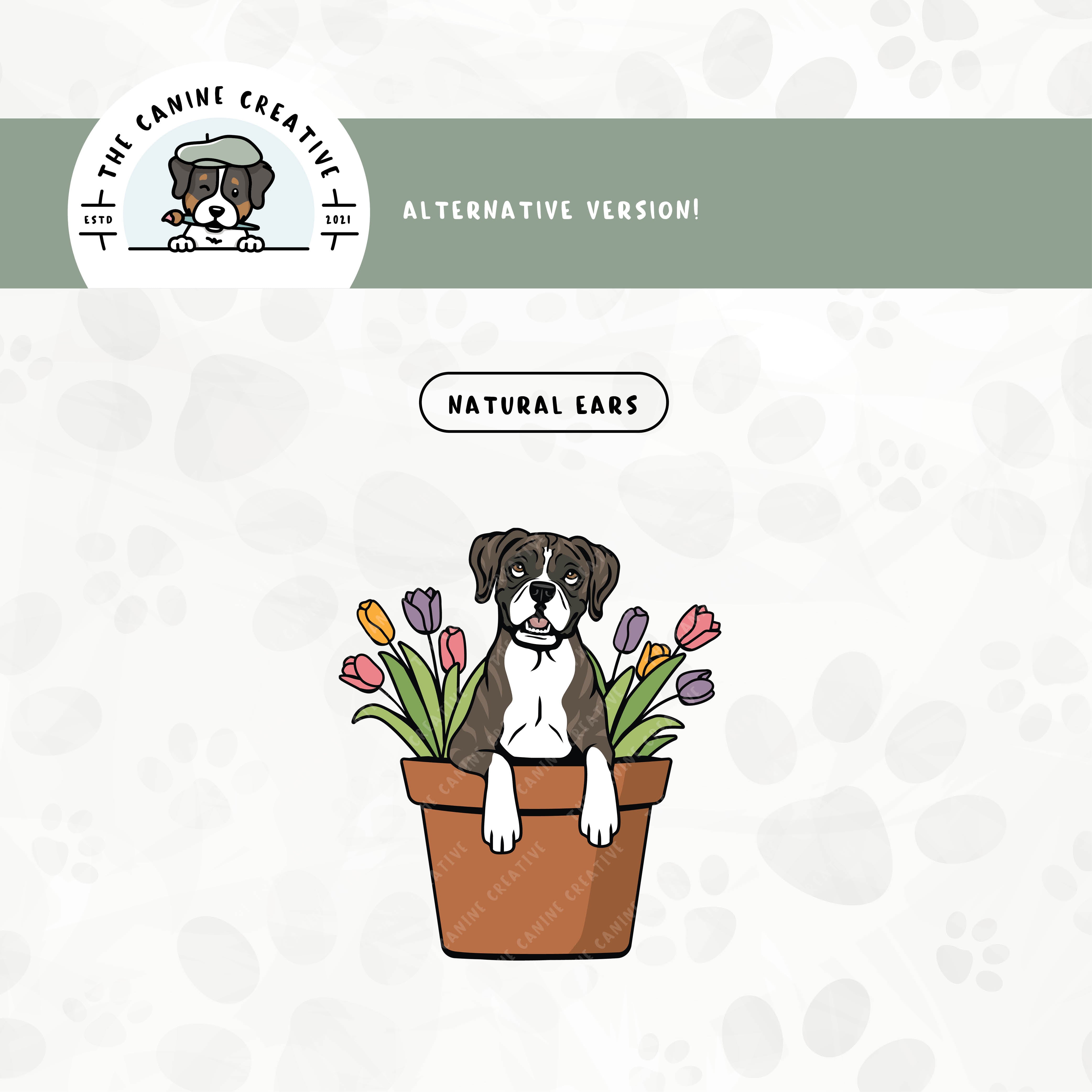 A floppy ear version is also available for this Boxer dog design.