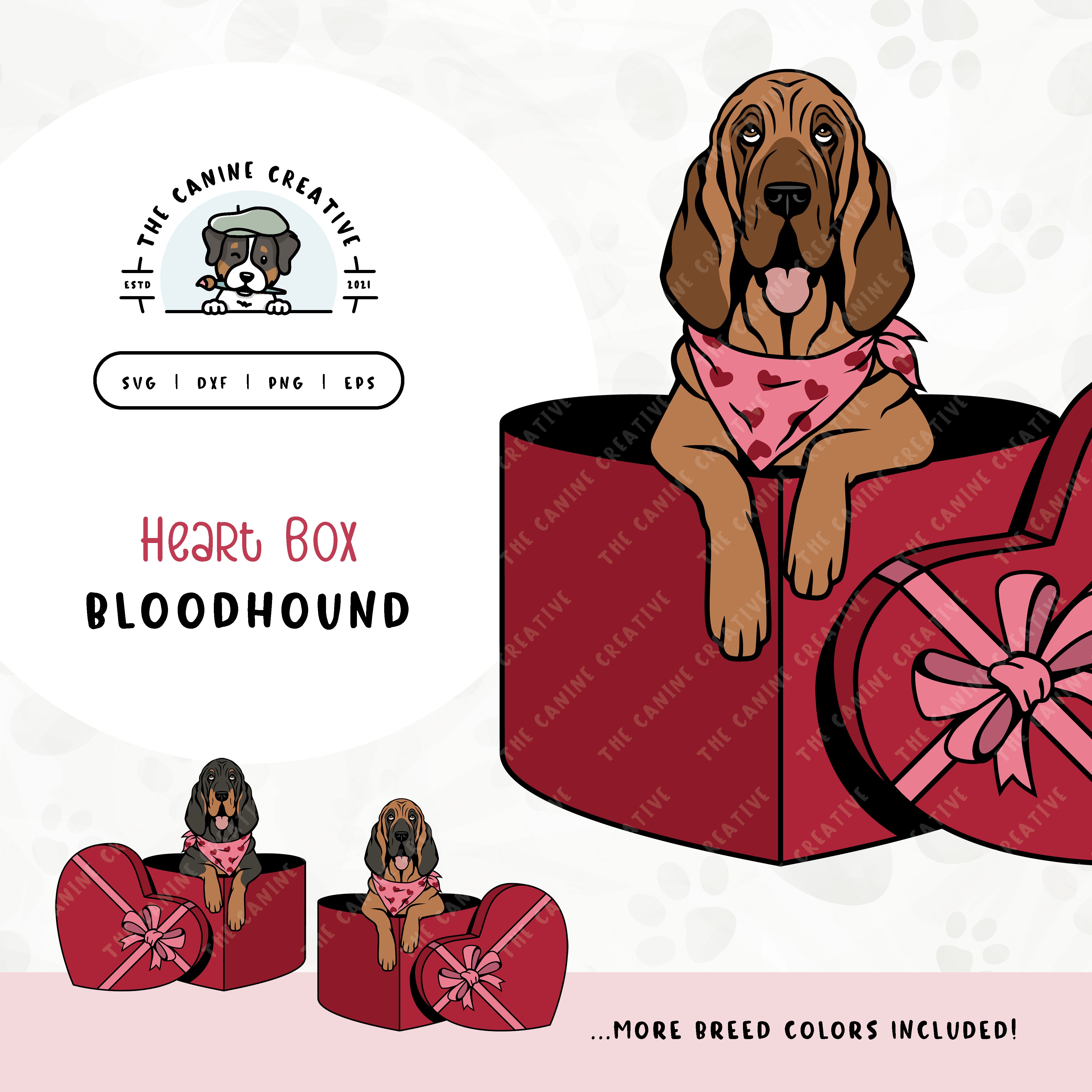 This charming Bloodhound illustration features a peeking dog in a heart-shaped box. File formats include: SVG, DXF, PNG, and EPS.