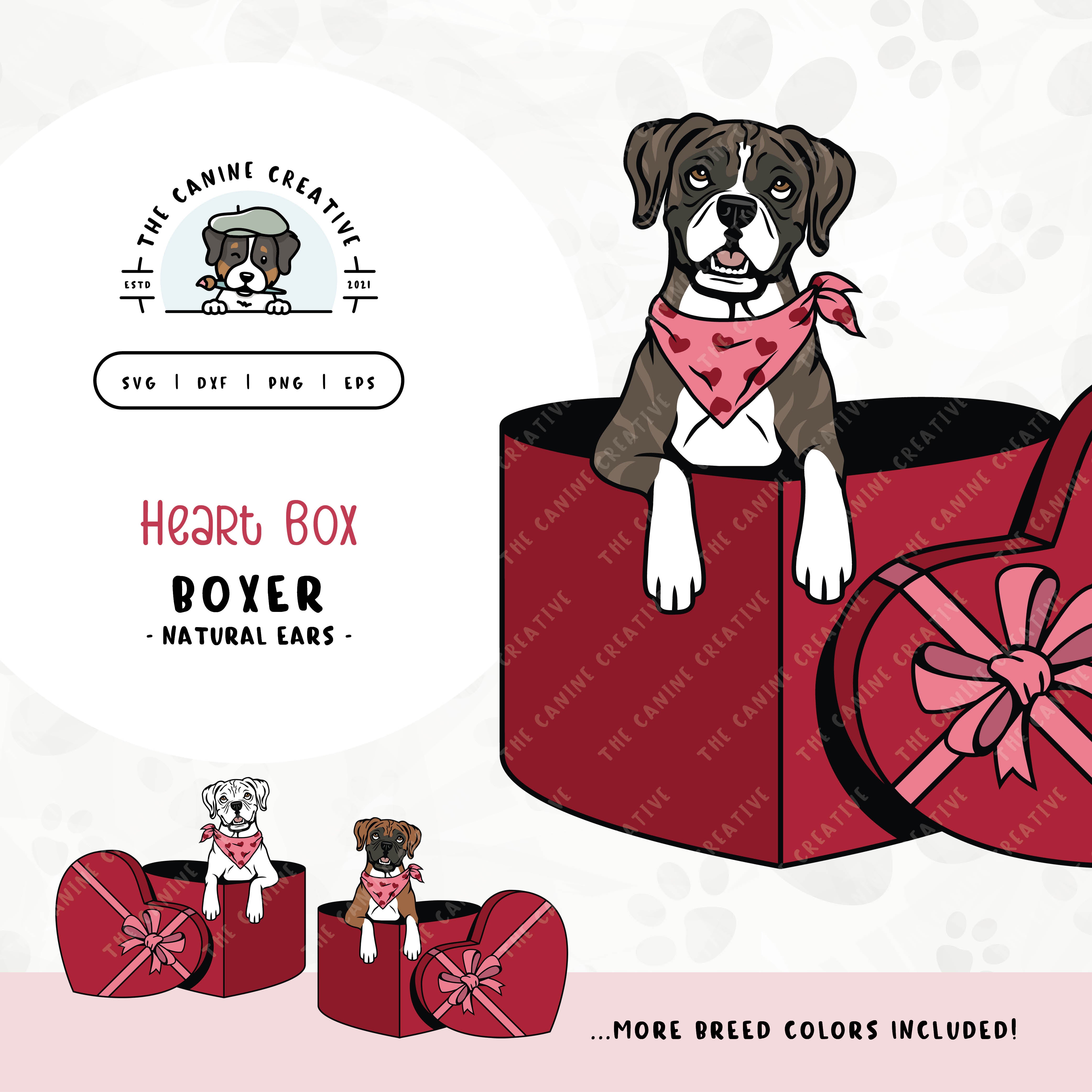 This charming Boxer dog illustration (floppy ears edition) features a peeking dog in a heart-shaped box. File formats include: SVG, DXF, PNG, and EPS.