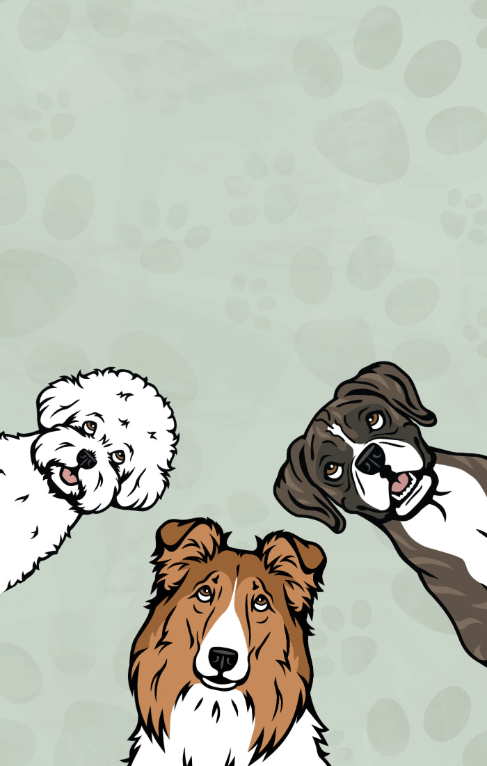 Cute illustrations of various dog breeds