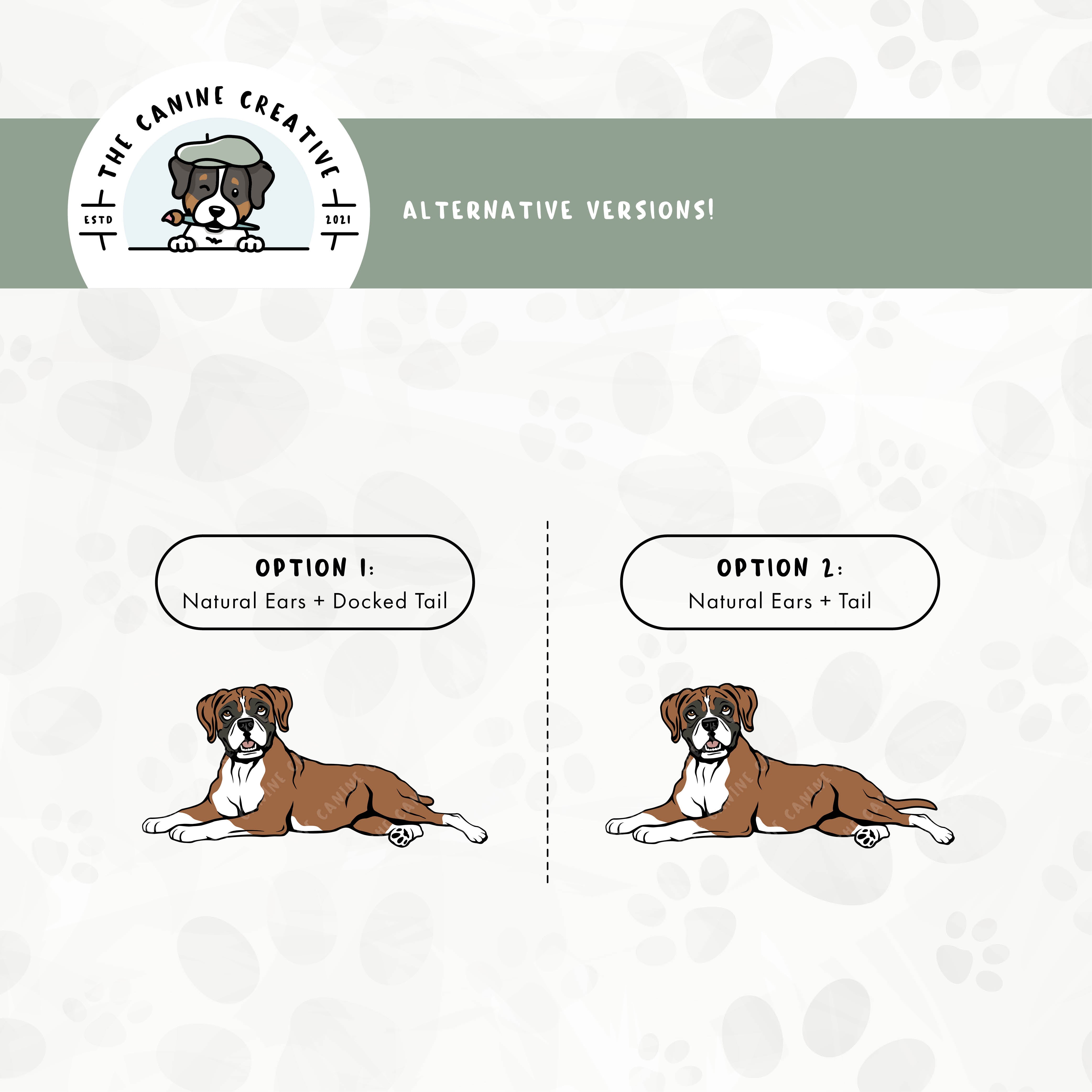 Alternative floppy ear/docked tail or floppy ear/long tail editions are also available for this Boxer dog design.