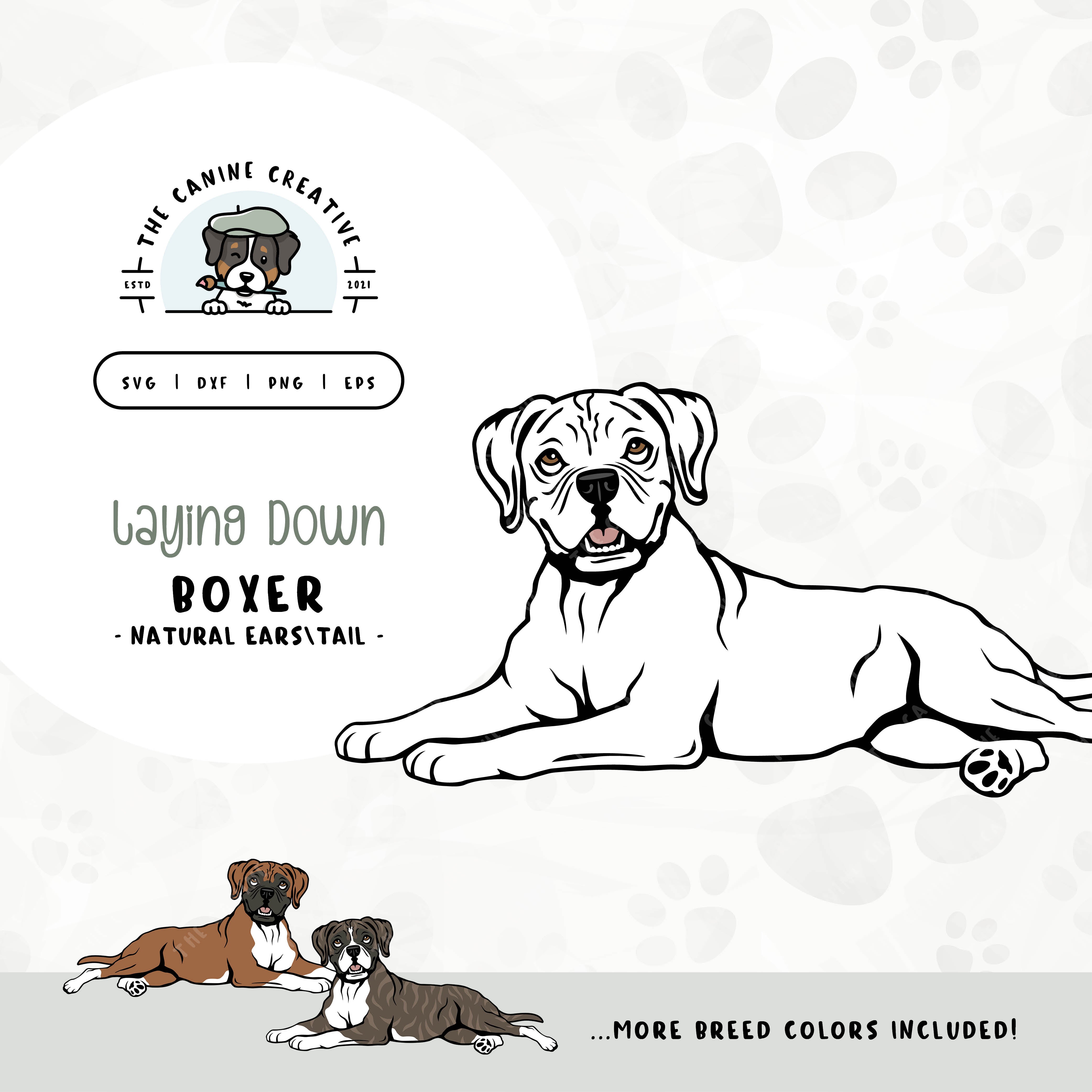 This laying down dog design features a Boxer dog with floppy ears and a long tail. File formats include: SVG, DXF, PNG, and EPS.