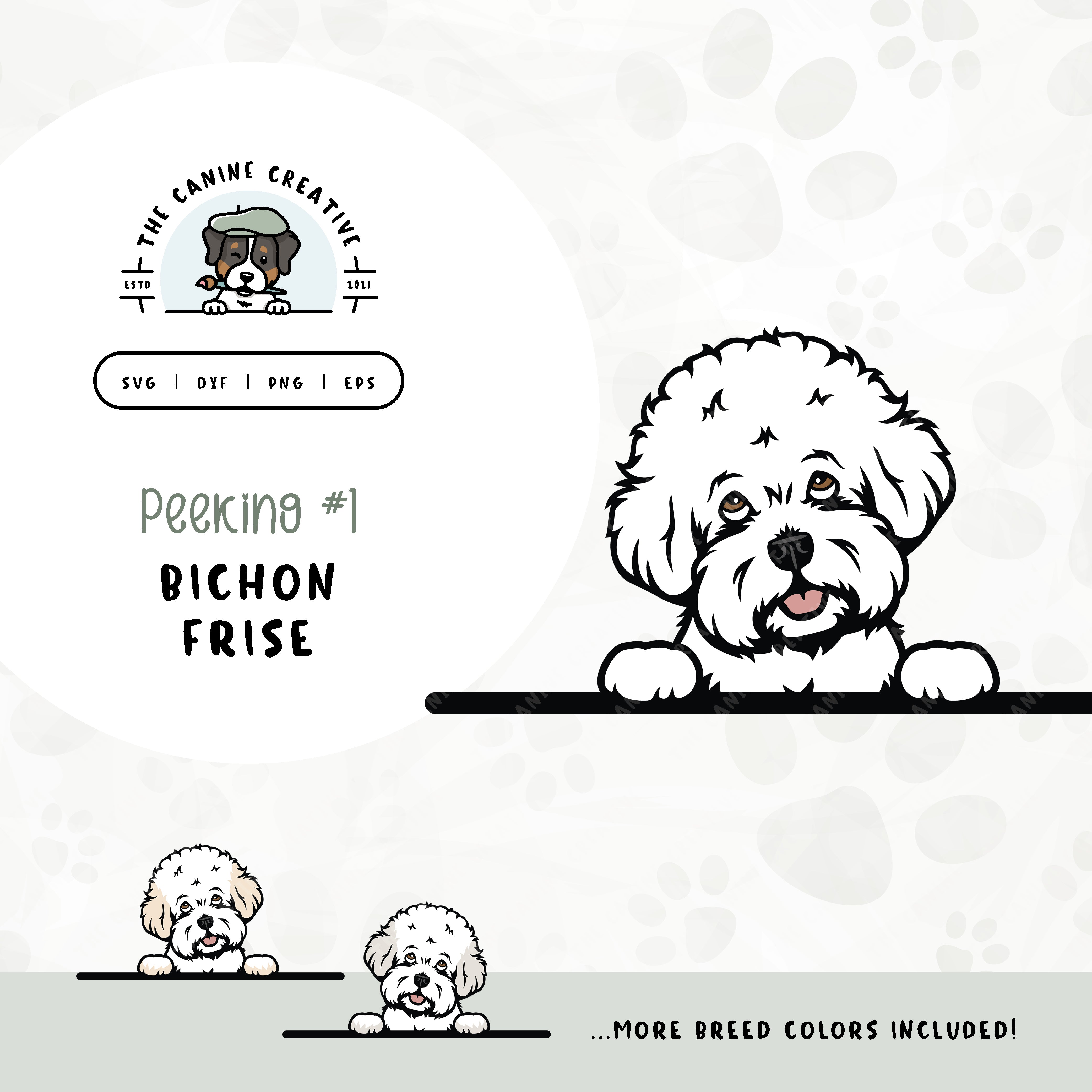 This illustrated design features a peeking Bichon Frise. File formats include: SVG, DXF, PNG, and EPS.