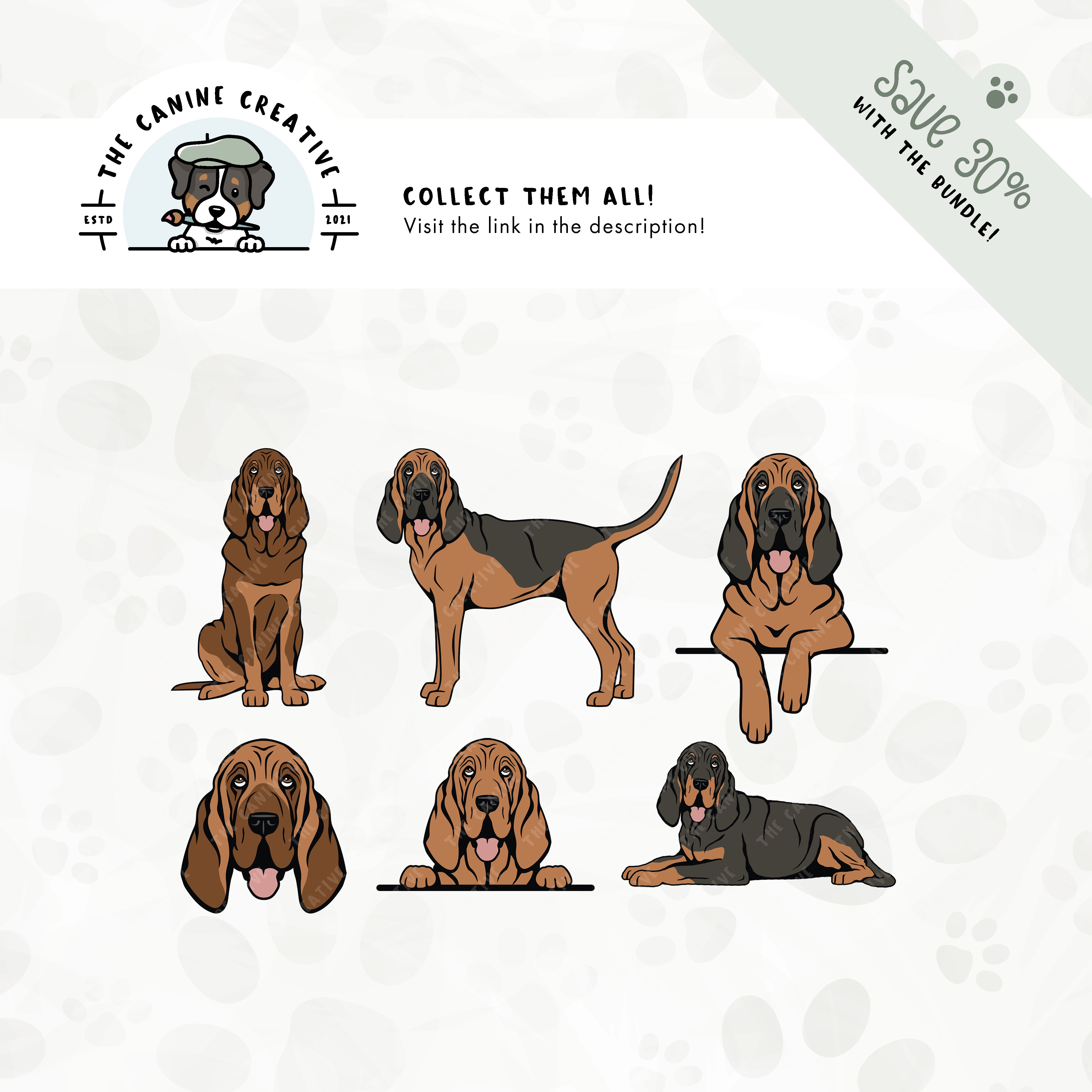 Save 30% with our related 6-pack Bloodhound design bundle!