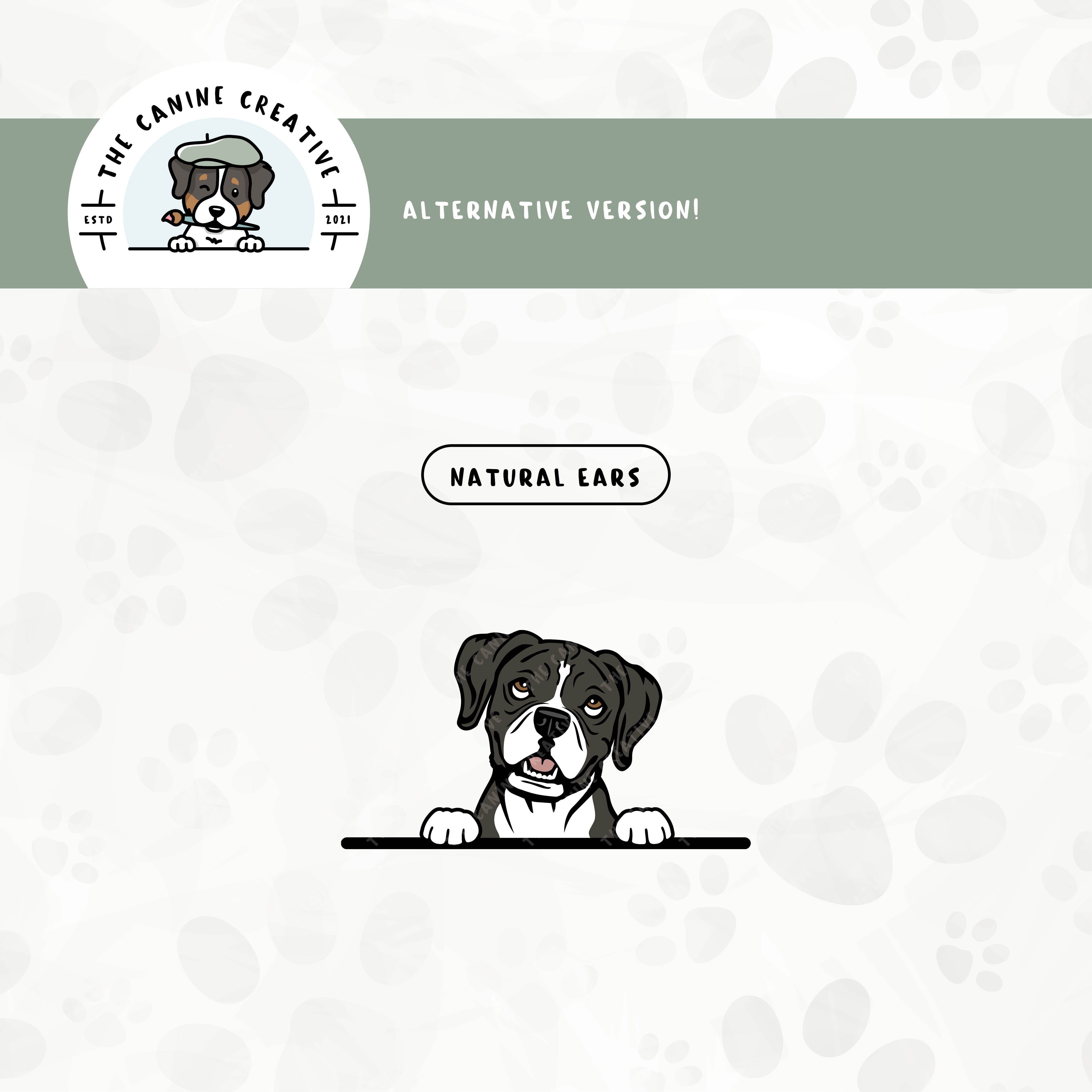 Alternative floppy ear edition are also available for this Boxer dog design.