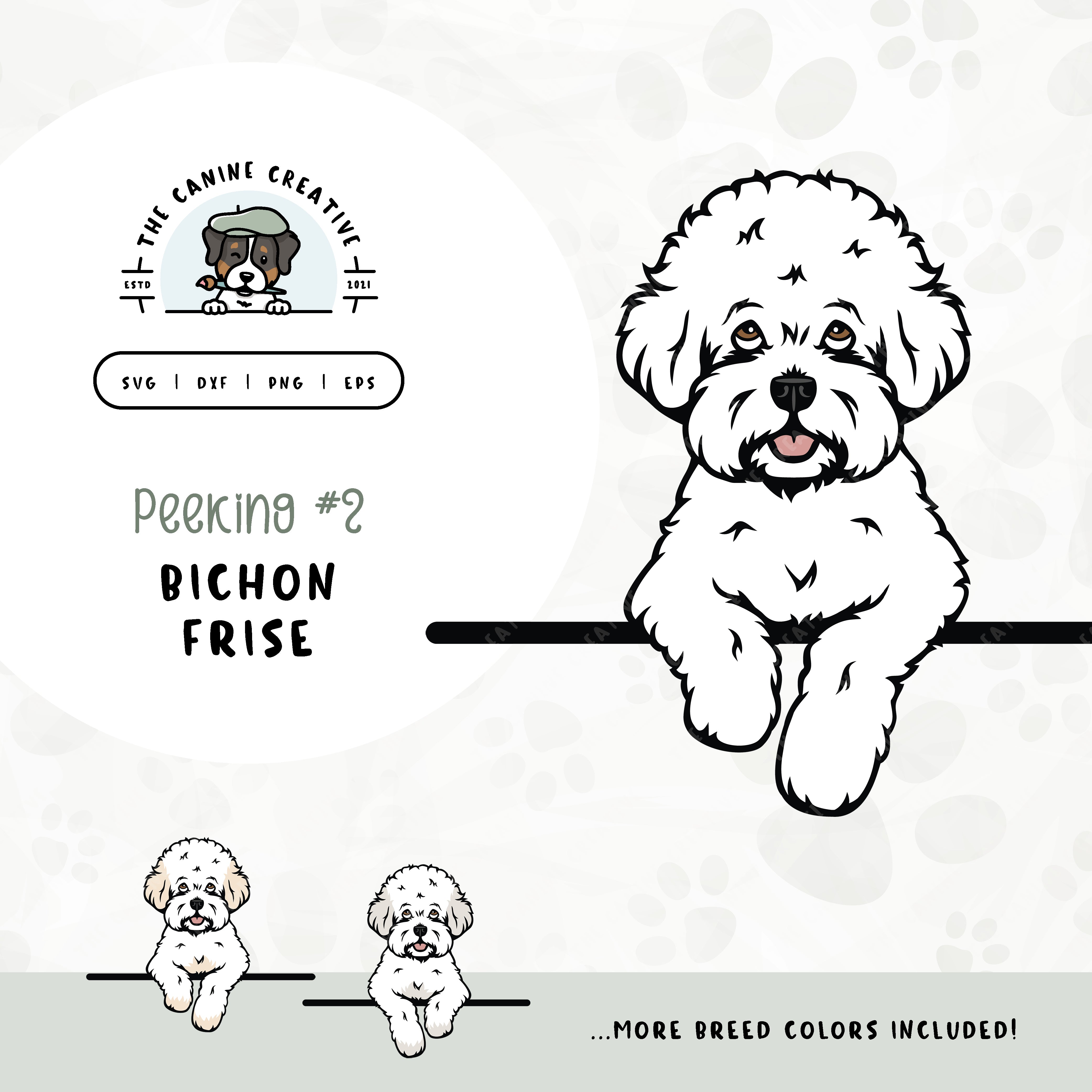 This illustrated design features a peeking Bichon Frise. File formats include: SVG, DXF, PNG, and EPS.