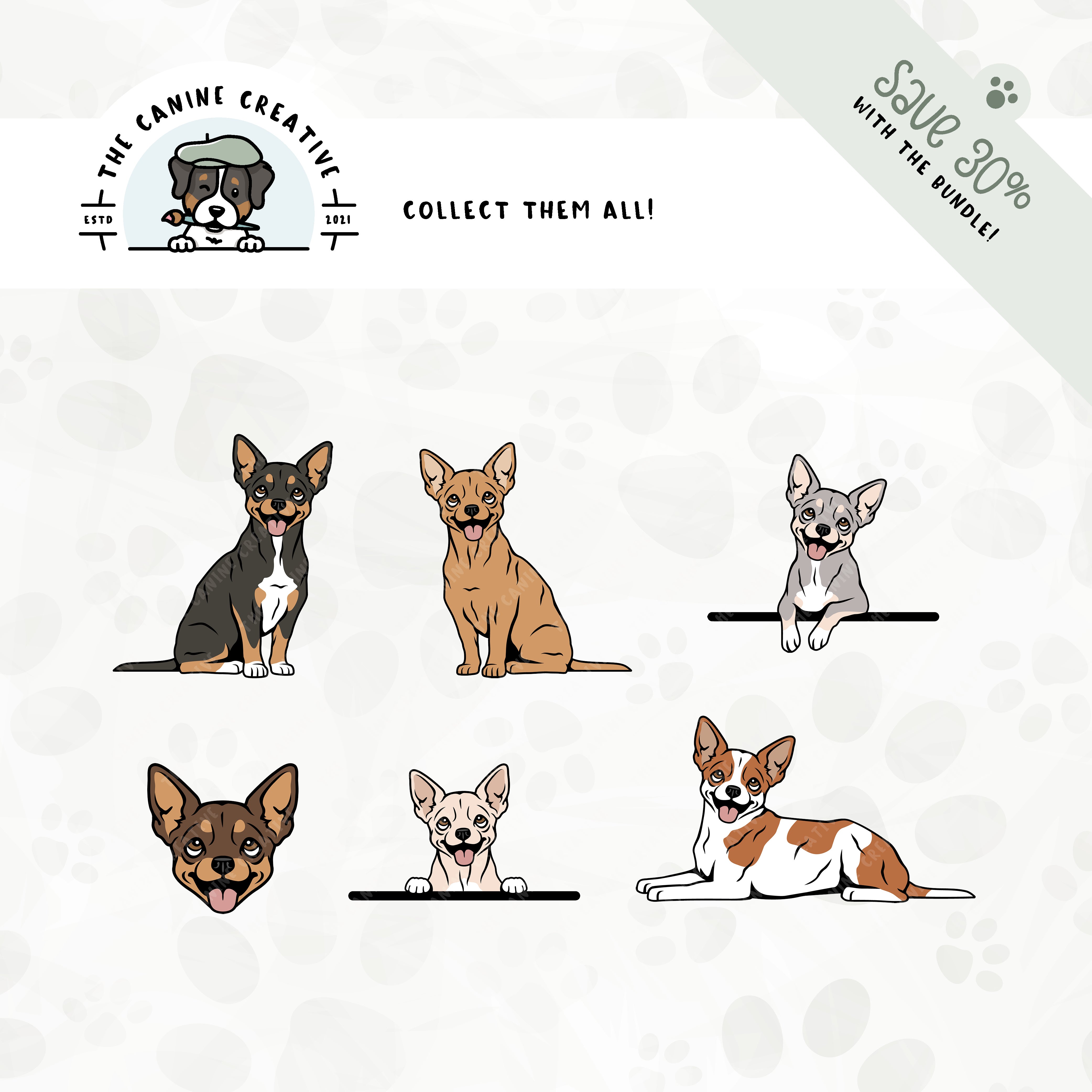Save 30% with our related 6-pack Smooth Coat Chihuahua illustration bundle!