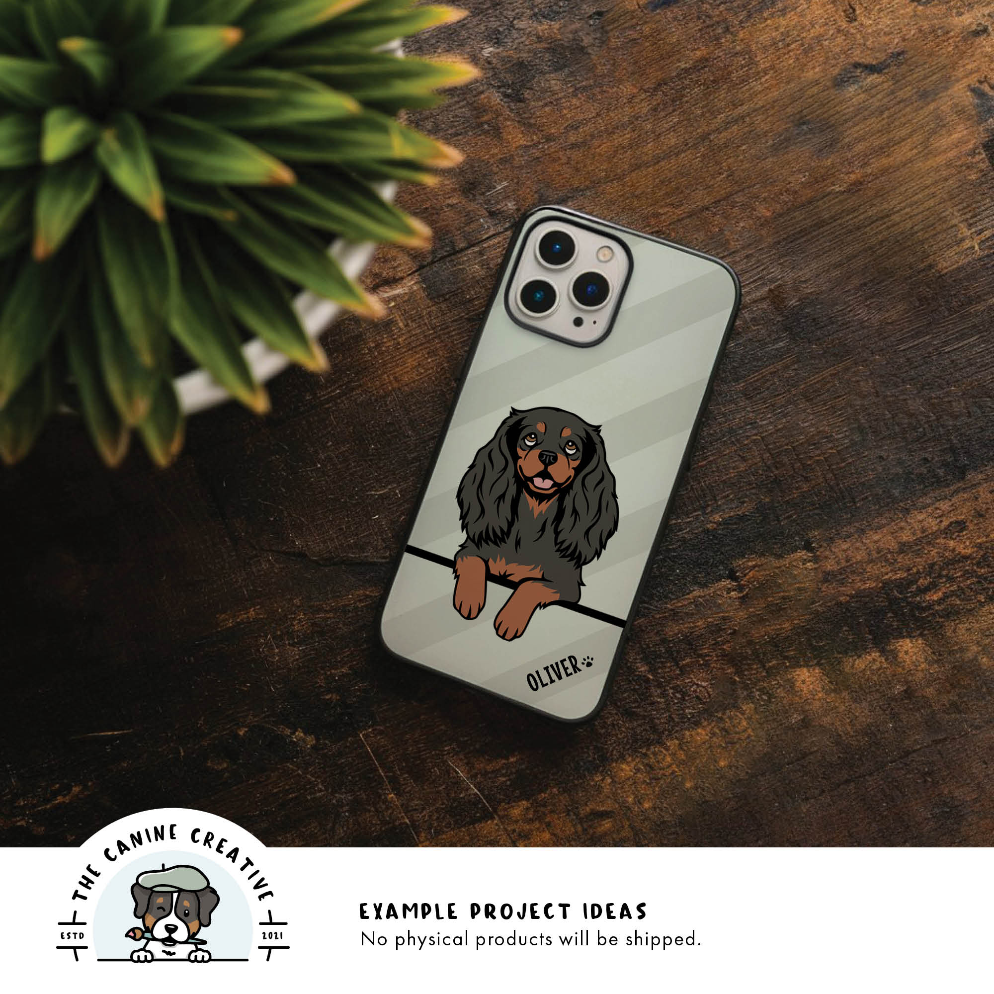 Example project idea showing design on a cellphone case.