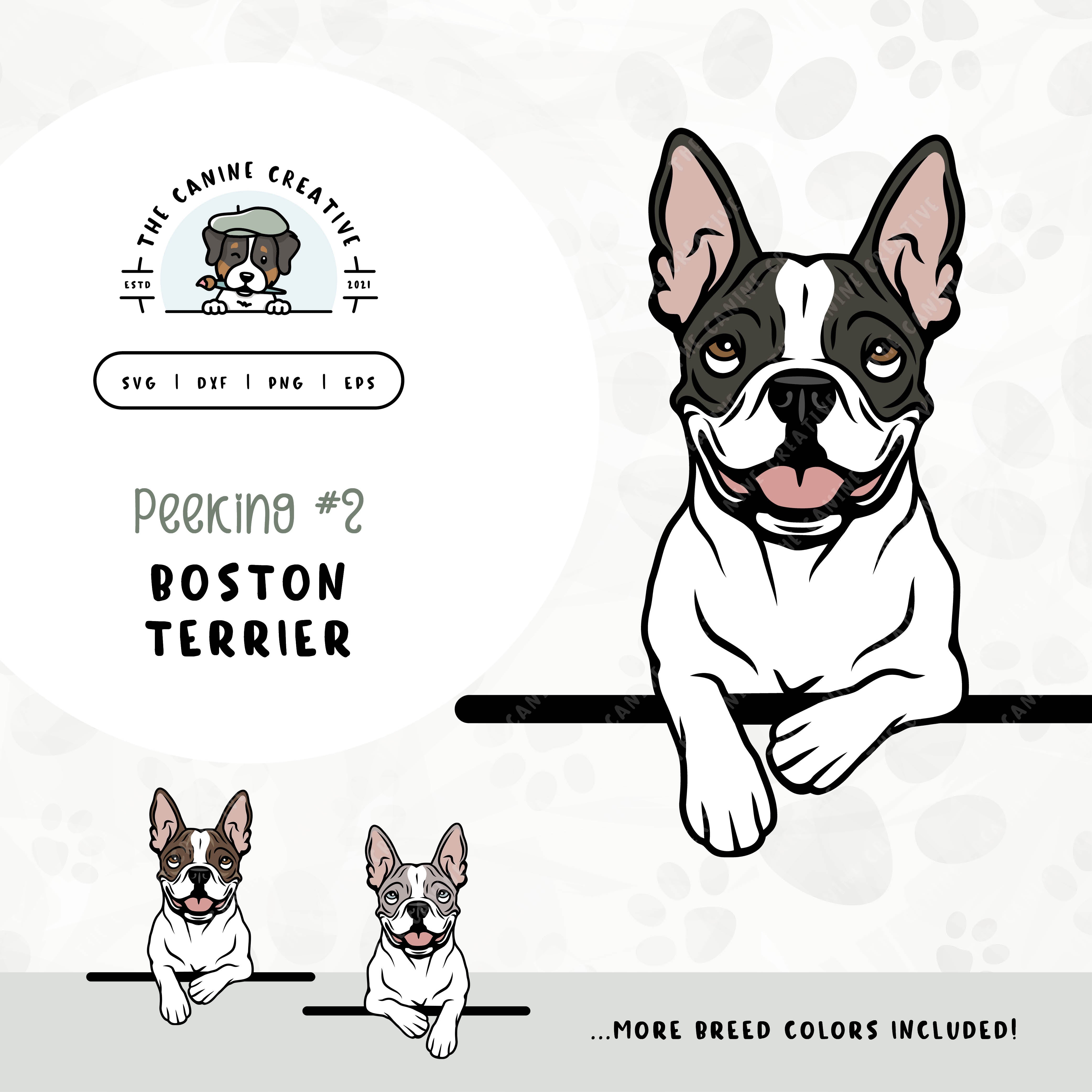 This illustrated design features a peeking Boston Terrier. File formats include: SVG, DXF, PNG, and EPS.