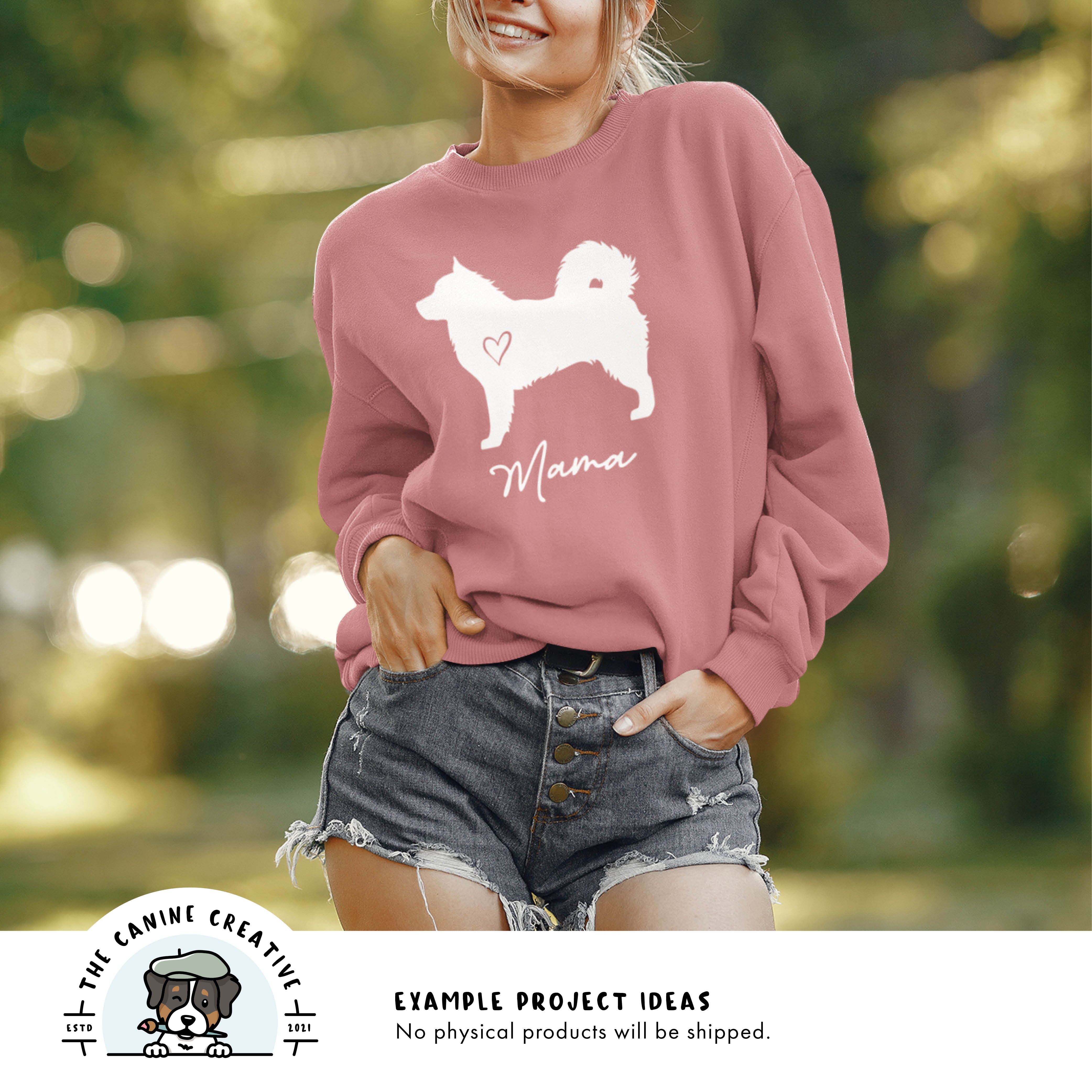 Example project idea showing design on a sweatshirt.