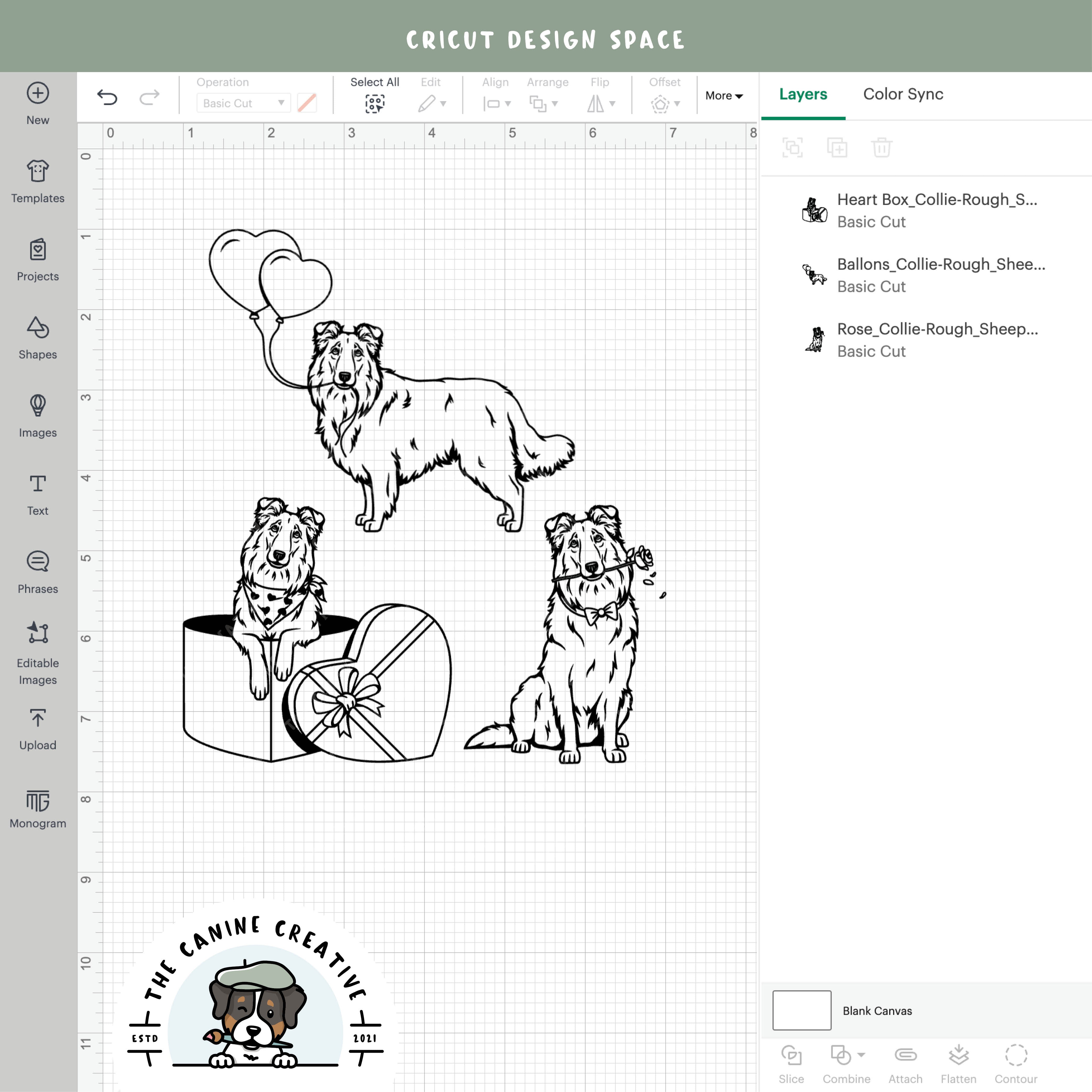 Screenshot showing outline versions inside Cricut Design Space.