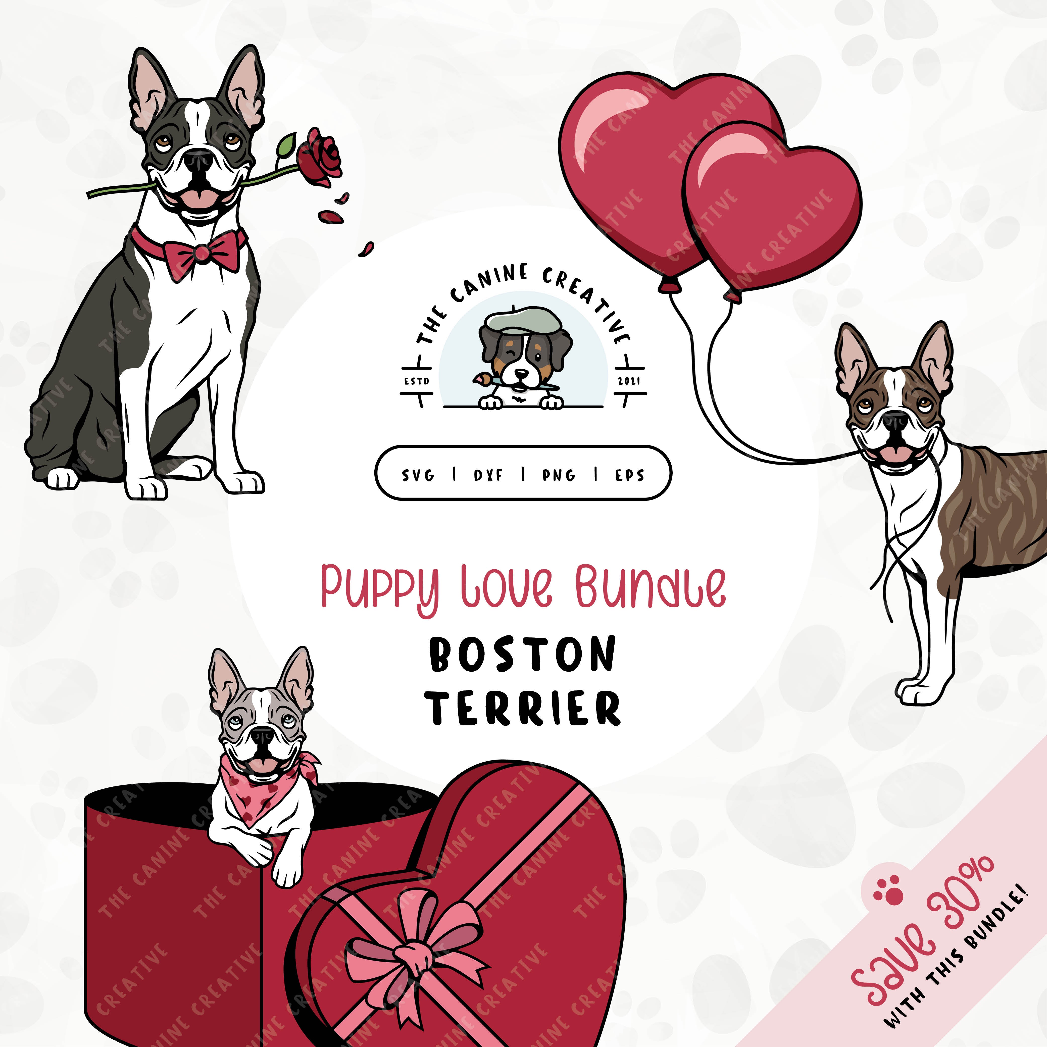 This 3-pack puppy love illustration bundle features Boston Terriers holding heart balloons, peeking out of a heart-shaped box, and holding a rose. File formats include: SVG, DXF, PNG, and EPS.