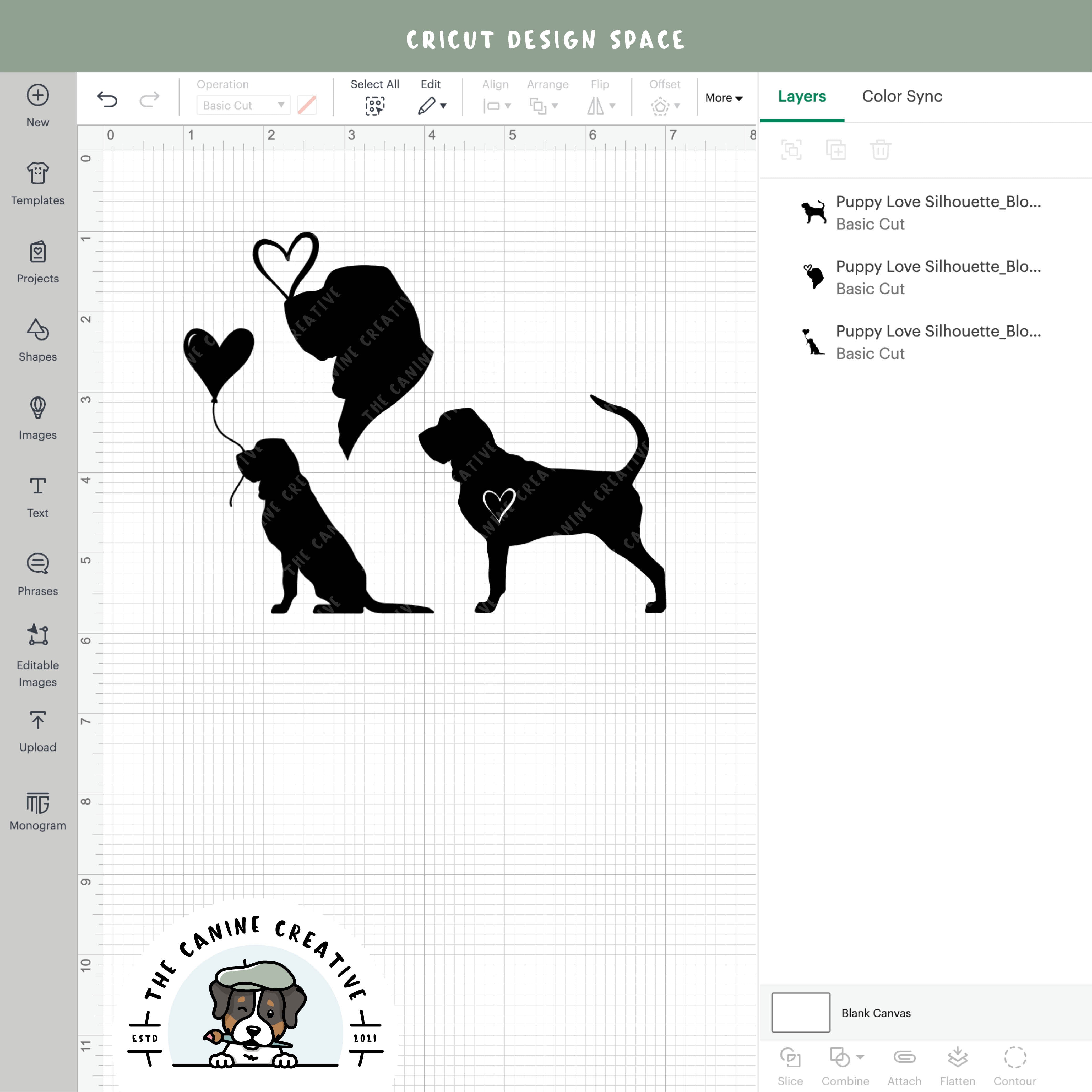 Screenshot showing designs inside Cricut Design Space.
