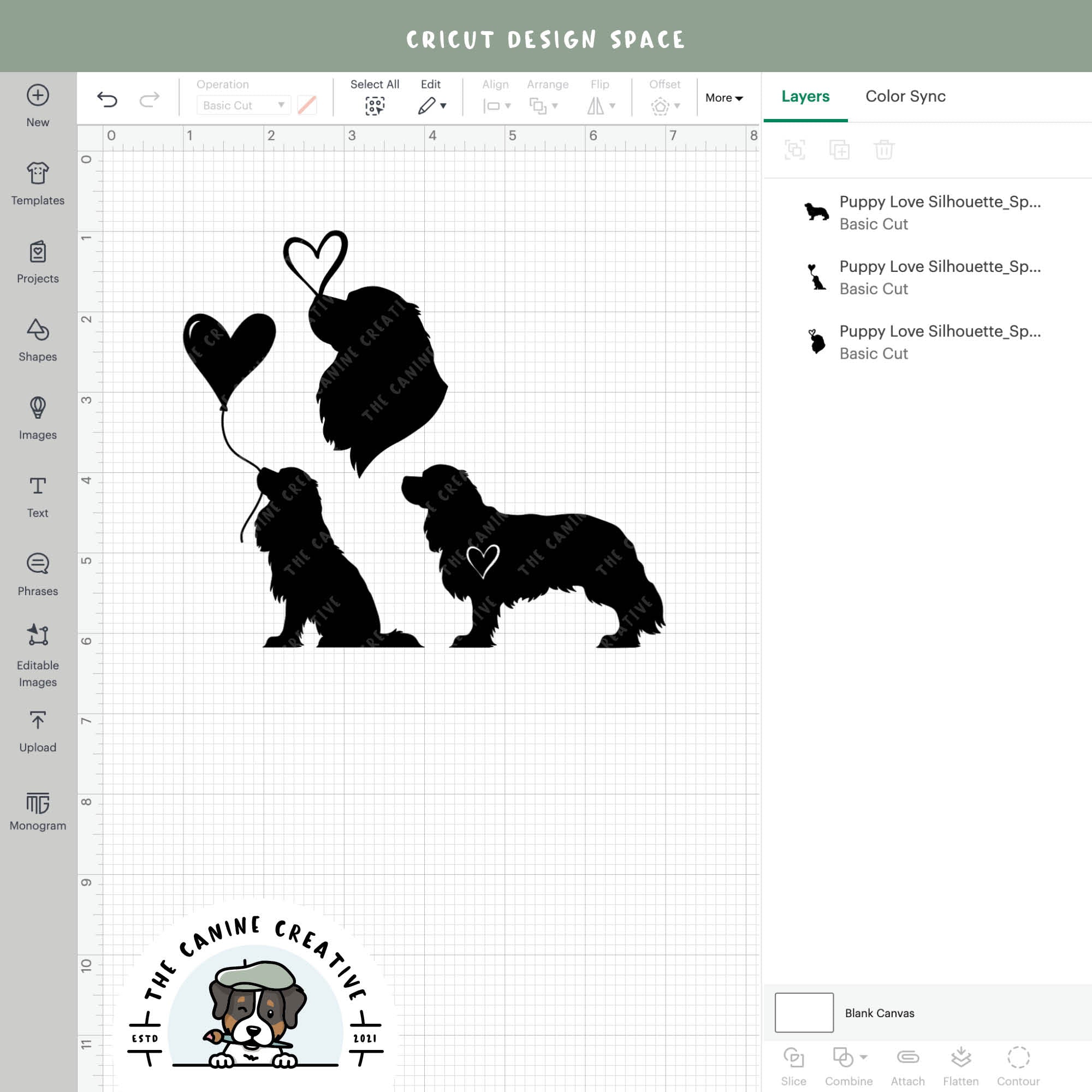 Screenshot showing designs inside Cricut Design Space.
