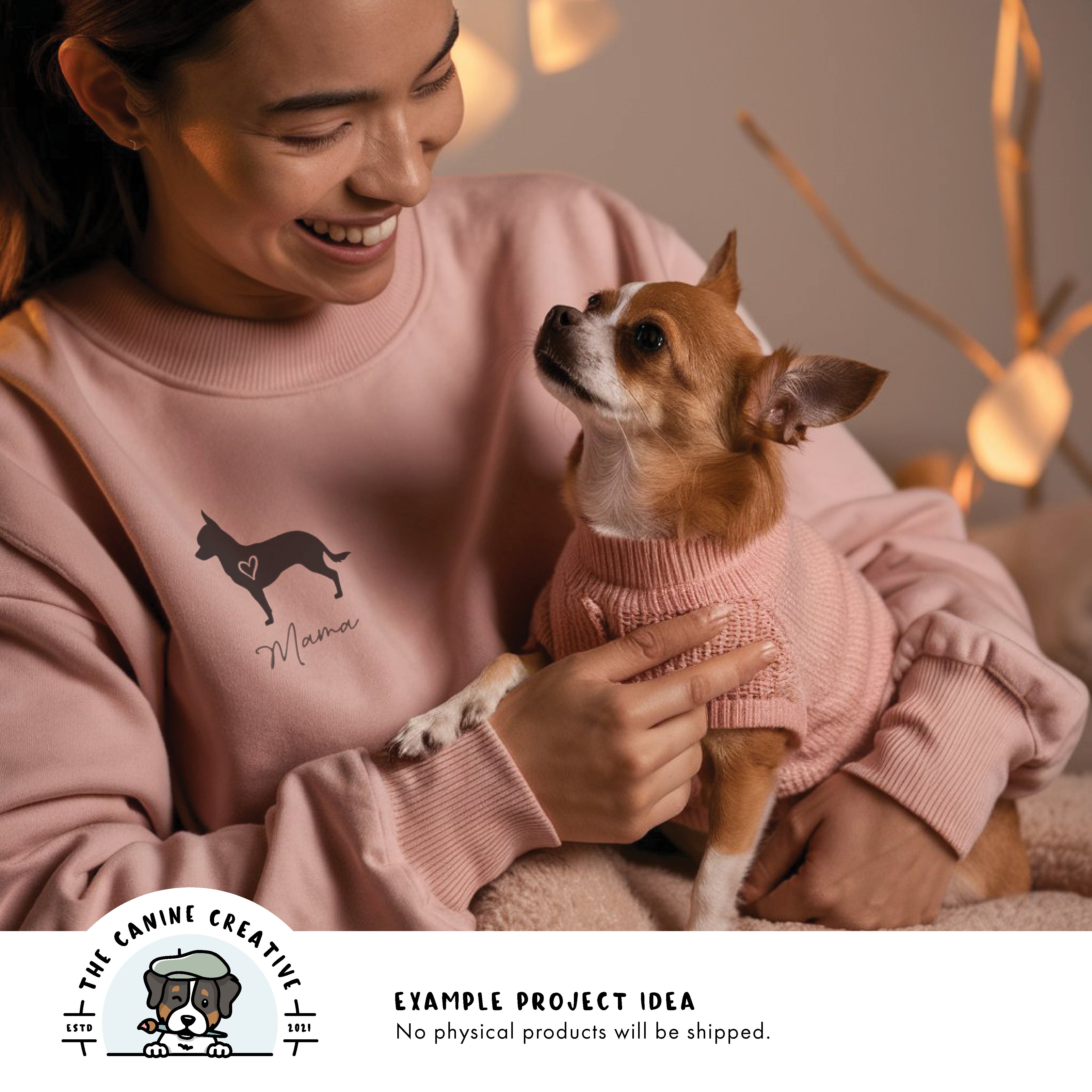 Example project idea showing design on a sweatshirt.