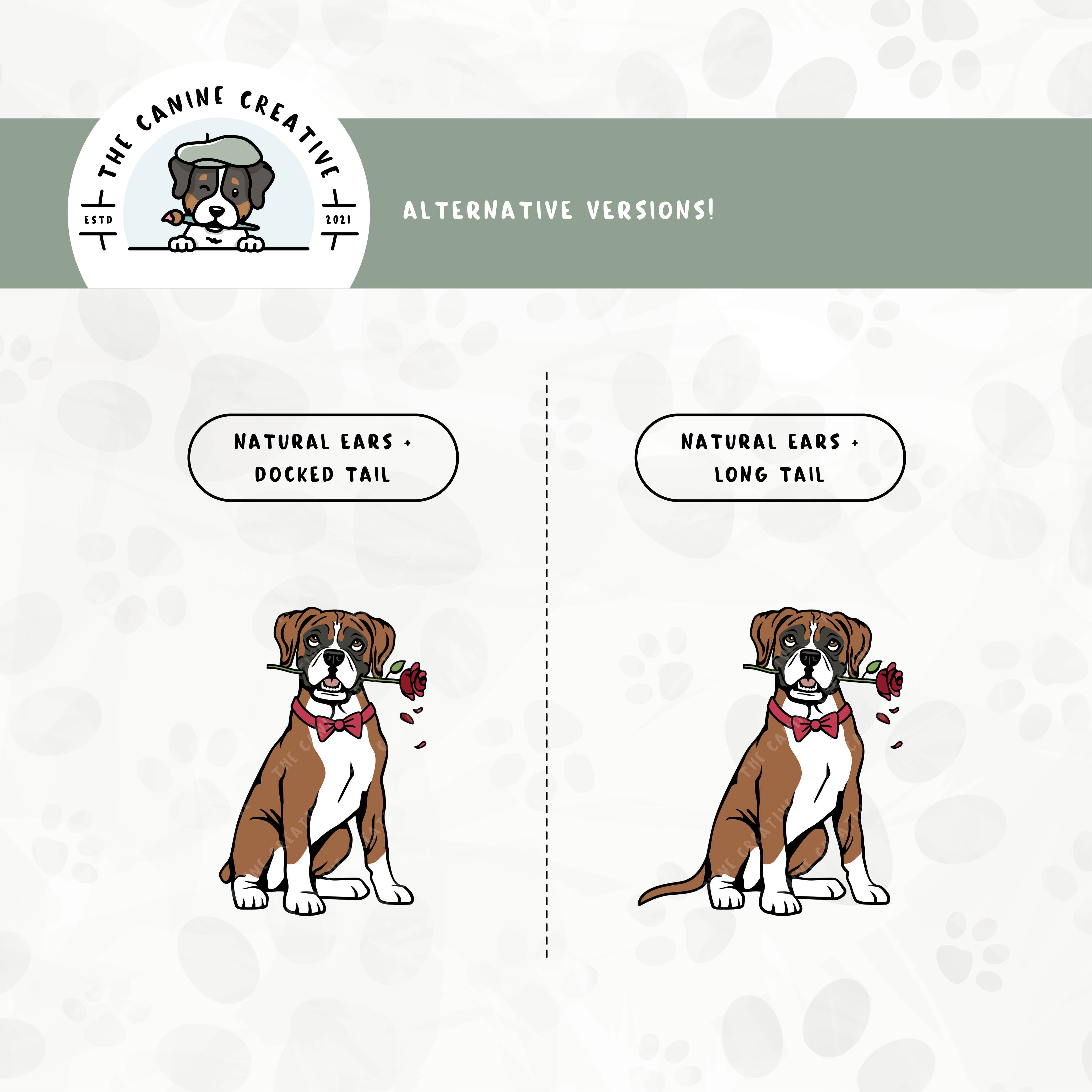 Alternative floppy ear/long tail or floppy ear/docked tail editions are also available for this Boxer dog design.