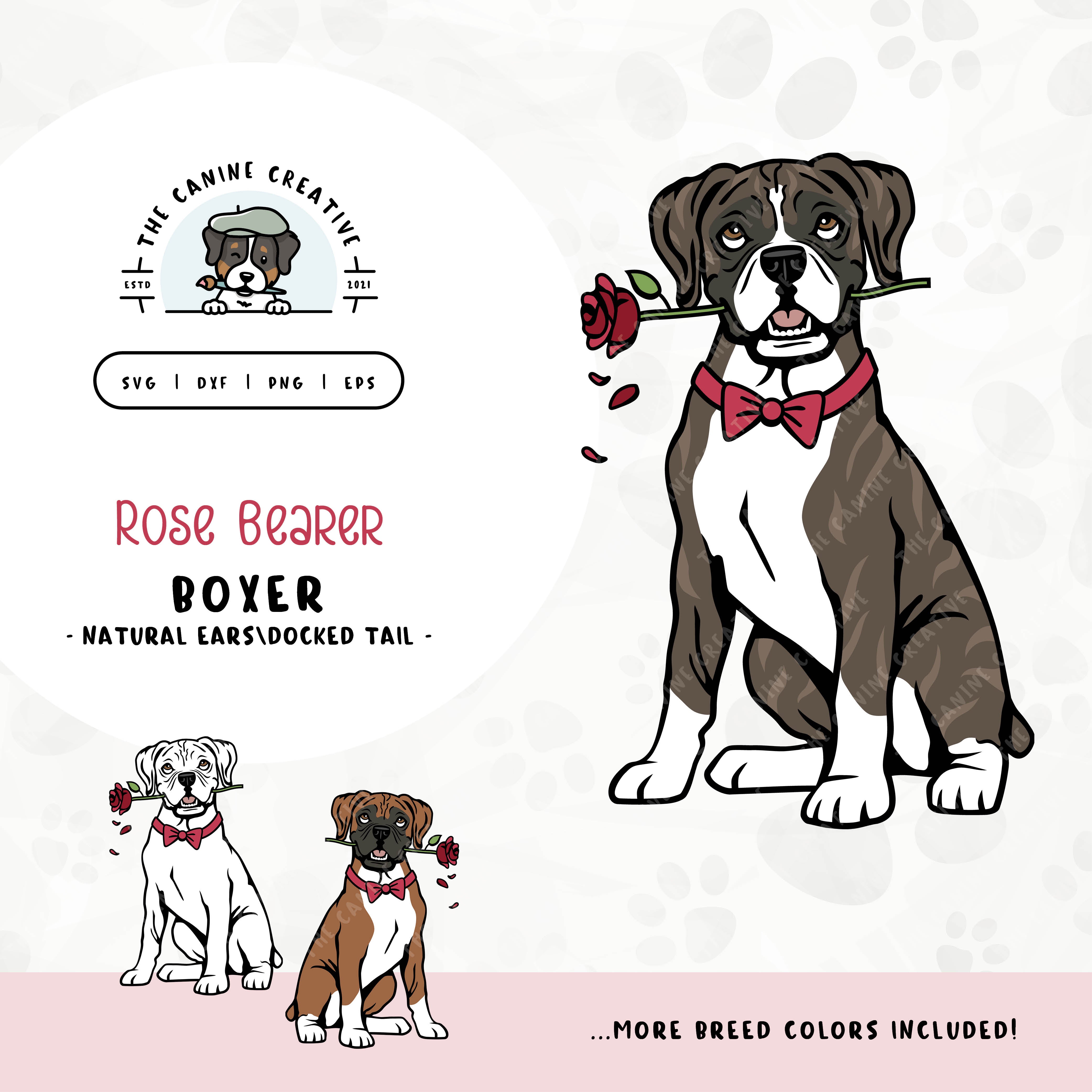 This charming Boxer dog illustration (floppy ears/docked tail edition) features a dapper dog adorned with a bow-tie and holding a rose. File formats include: SVG, DXF, PNG, and EPS.