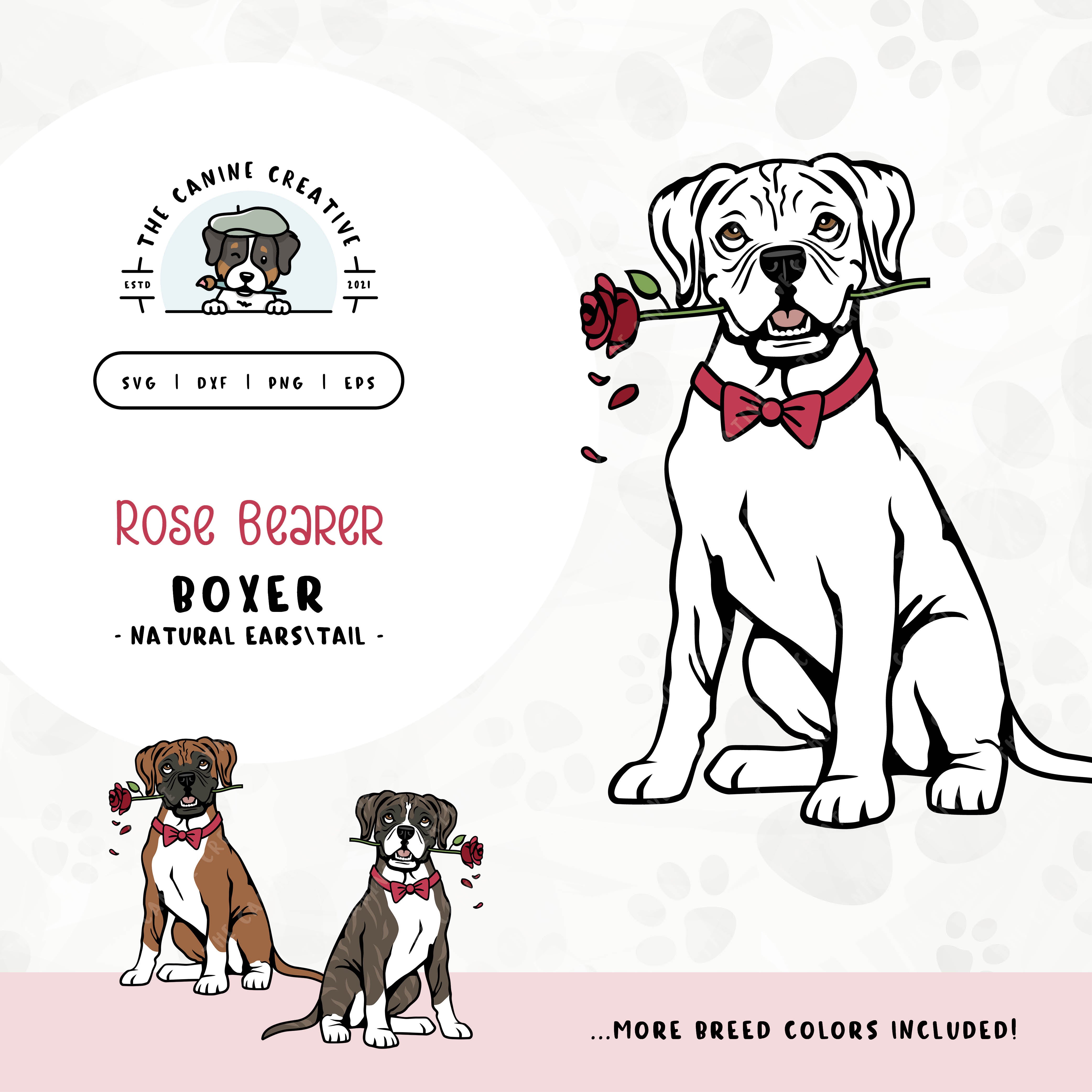 This charming Boxer dog illustration (floppy ears/long tail edition) features a dapper dog adorned with a bow-tie and holding a rose. File formats include: SVG, DXF, PNG, and EPS.