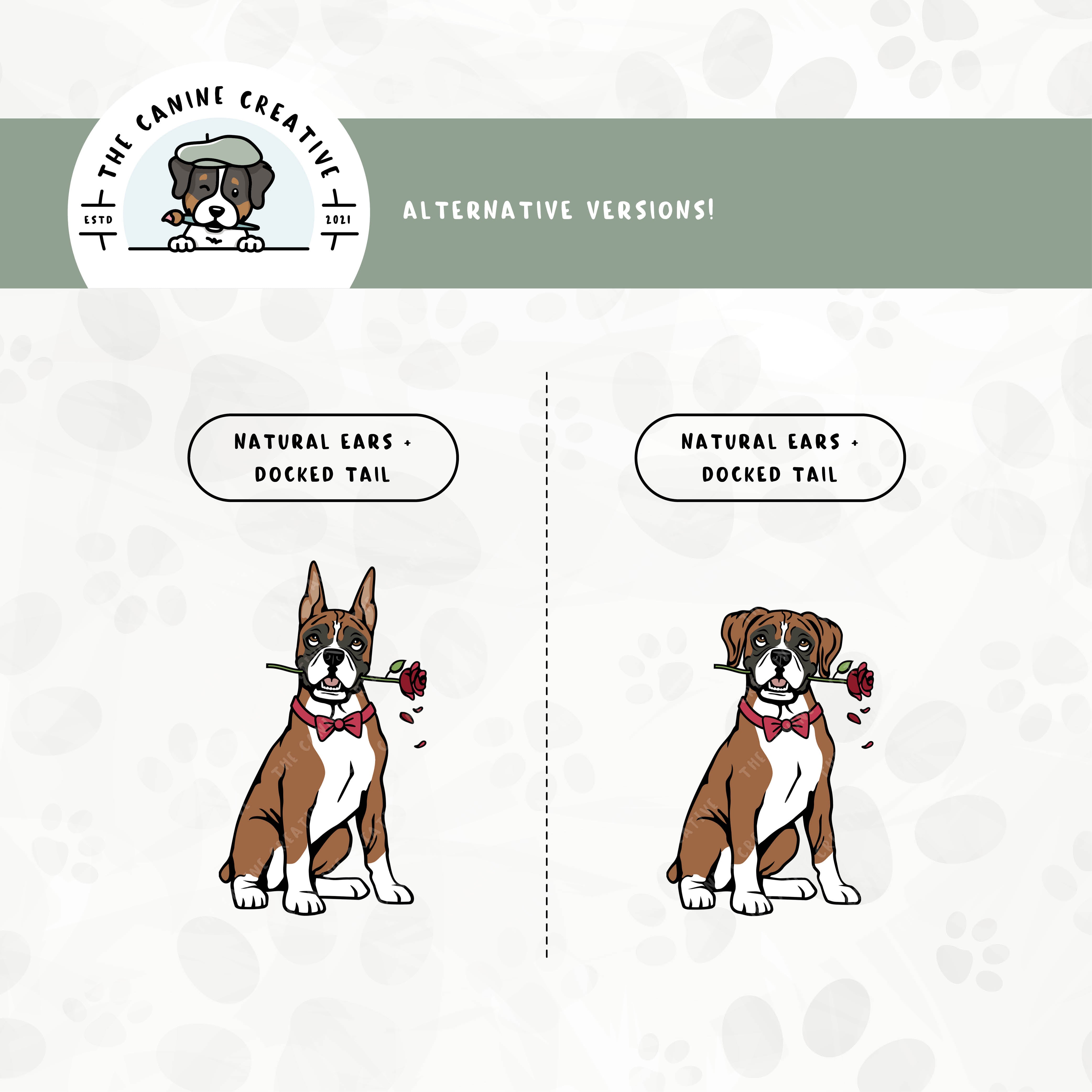 Alternative floppy ear/docked tail or cropped ear/docked tail editions are also available for this Boxer dog design.